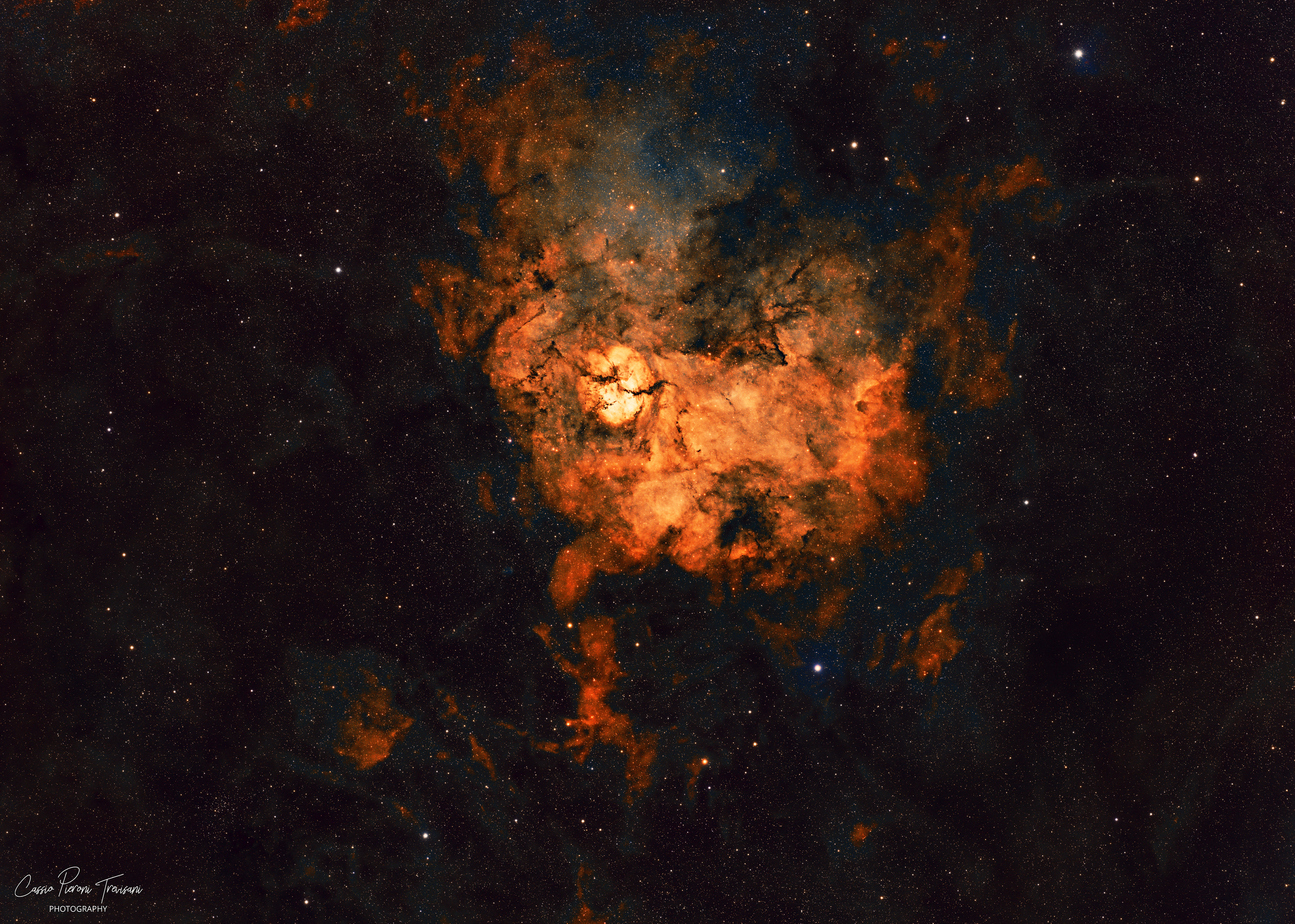 Narrowband (SHO) image of Sh2-124 in Cygnus, featuring a bright gold and orange nebular core with intricate dark dust lanes and surrounding reddish gas, contrasted against a rich background of stars.