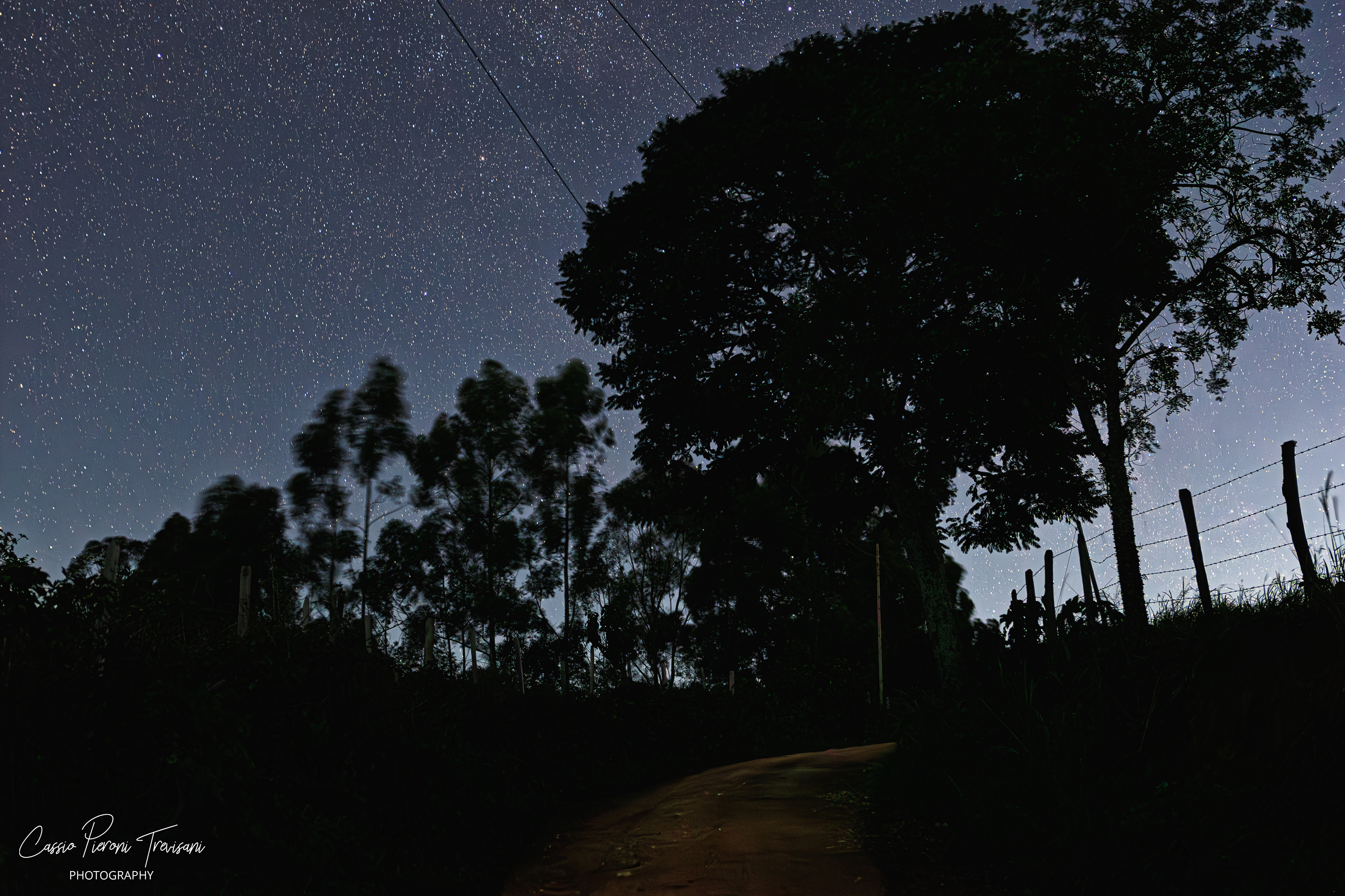 Starry night sky over Mirante de Albertina with silhouetted trees and rural path.