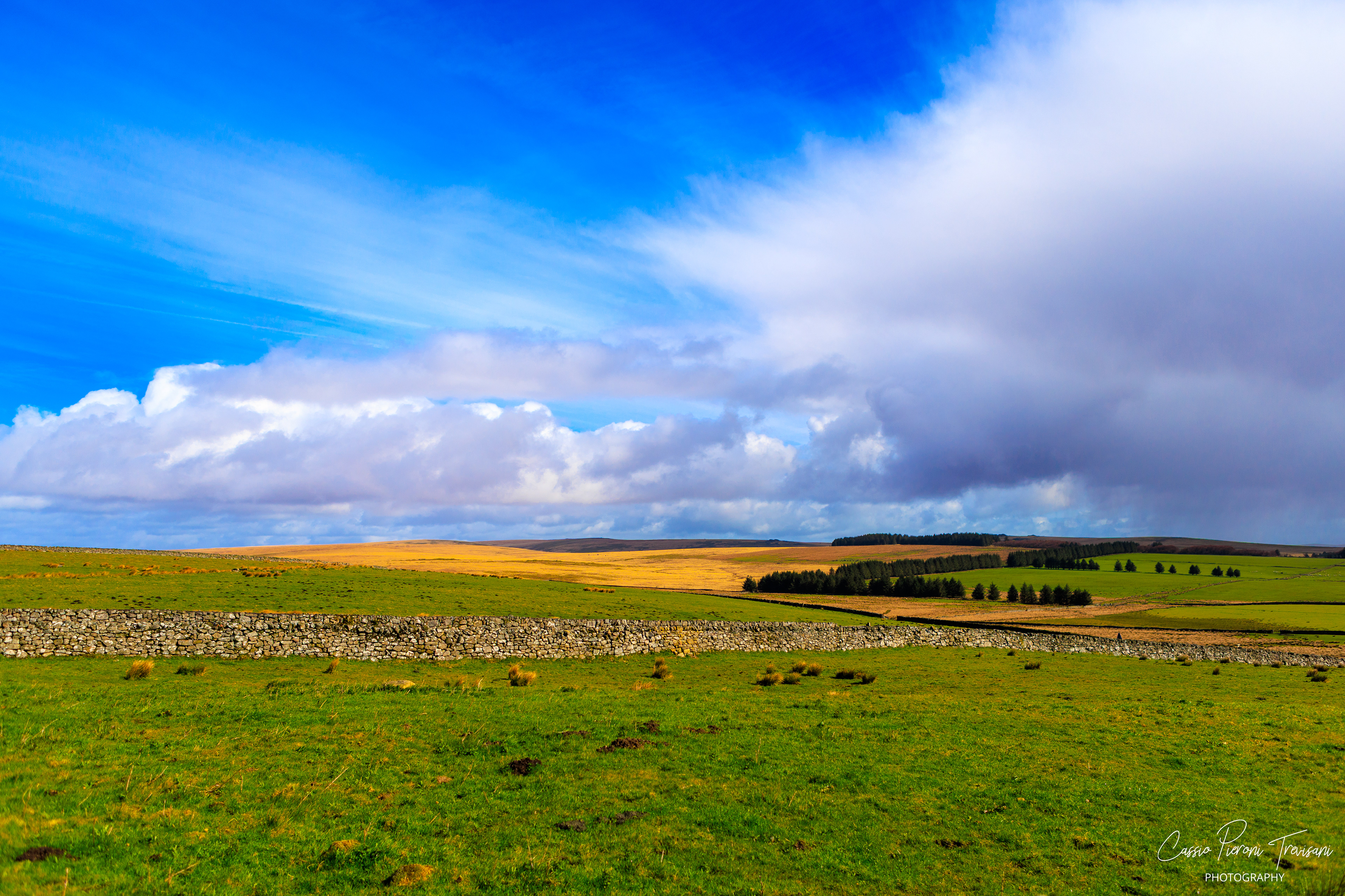 Landscape photographs of Dartmoor National Park featuring rolling moorland, patchwork fields, dry stone walls, wild ponies, rocky outcrops, and historic ruins under dramatic skies.