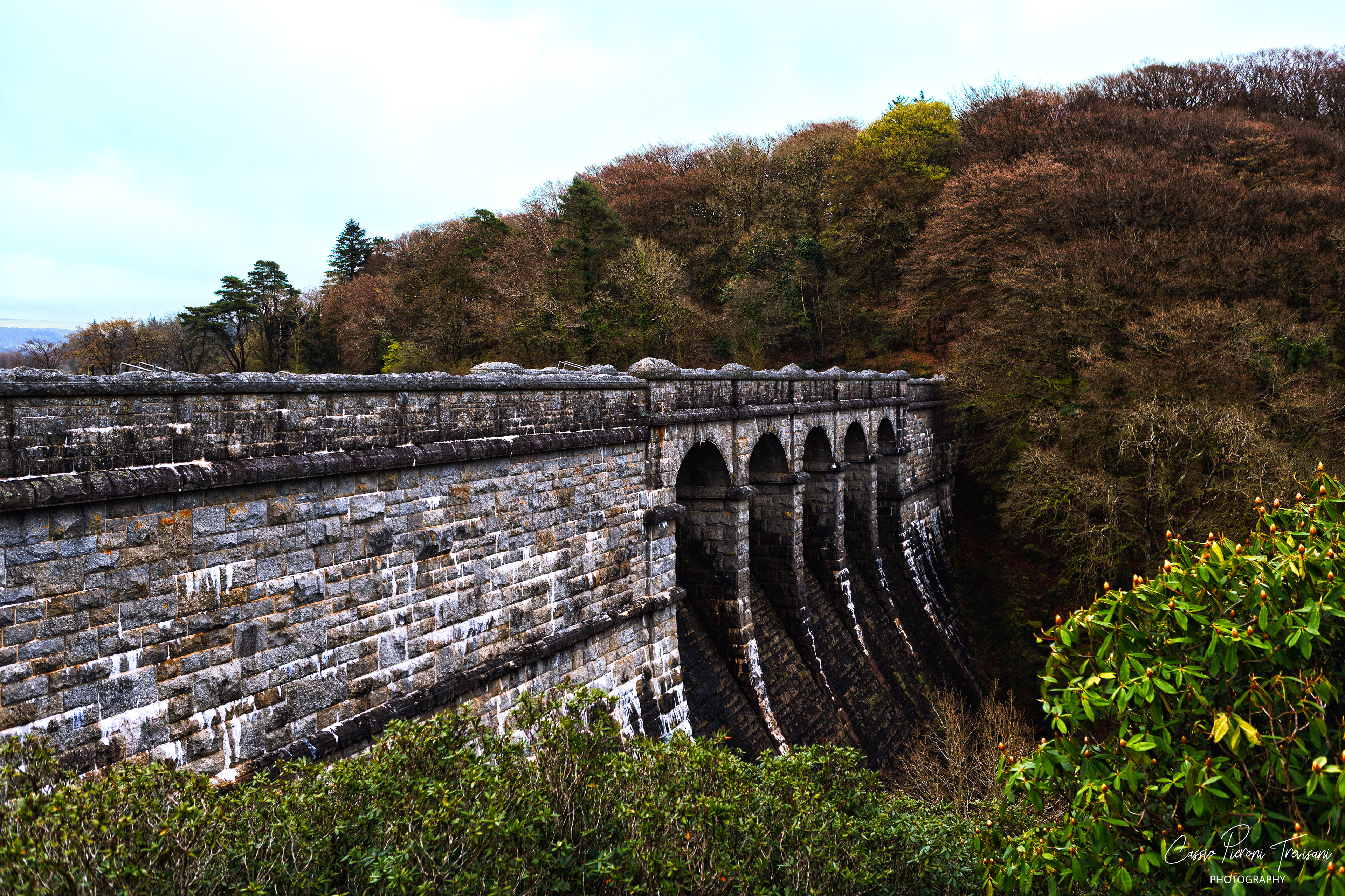 Landscape photographs from Dartmoor National Park near Burrator Reservoir showing moss-covered trees, flowing streams, a historic stone bridge, wild ponies, and the reservoir dam.