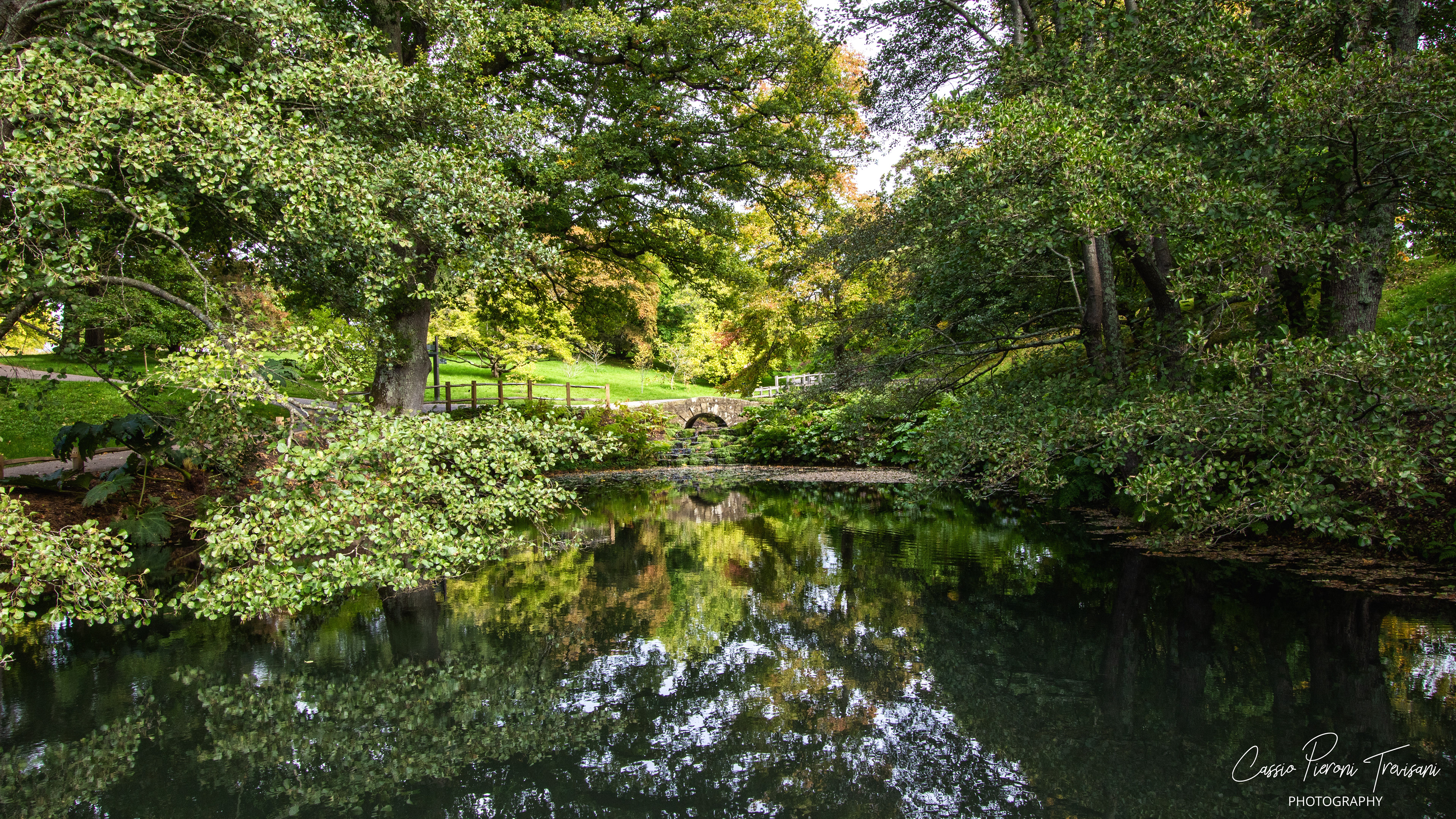 Stone bridge reflected in a tranquil pond at Wakehurst.