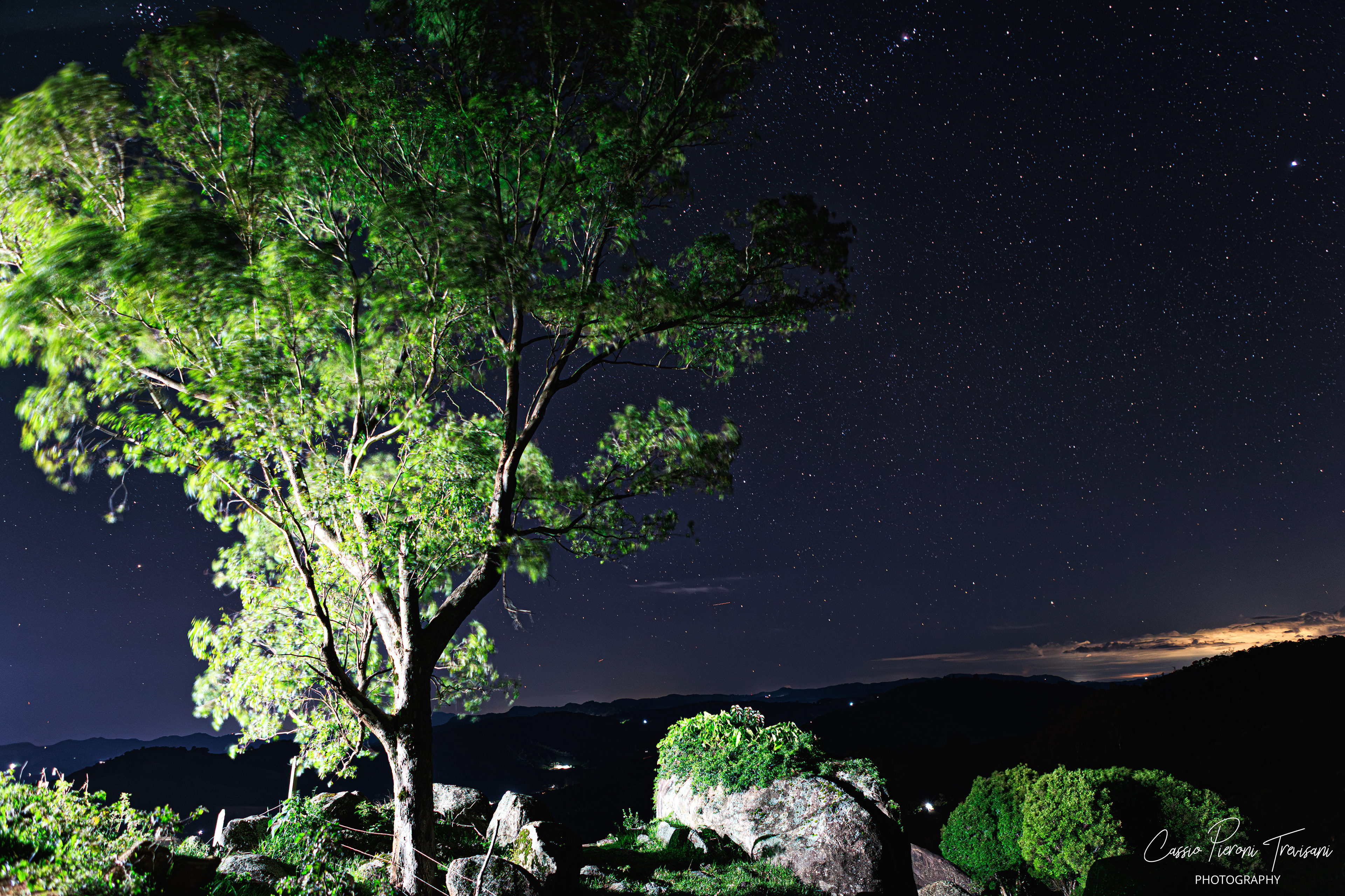 Astrophotography scene of Mirante de Albertina with trees, rocks, and star-filled sky.