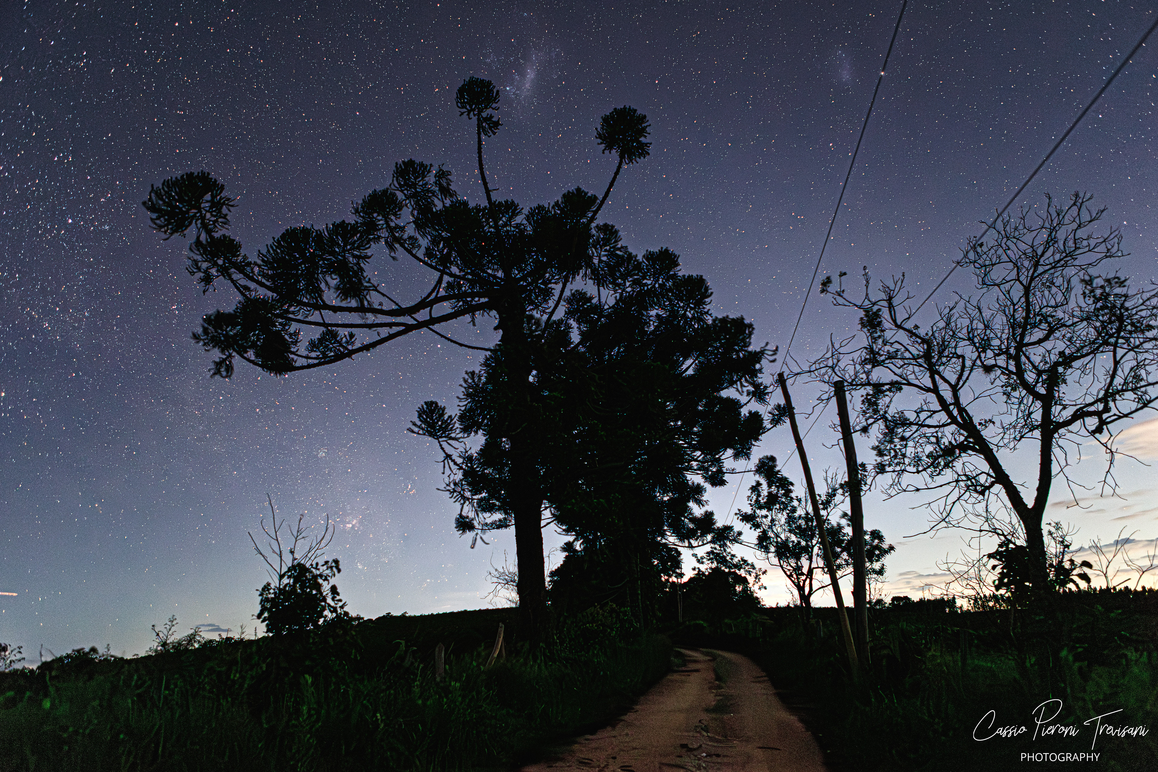 Night landscape at Mirante de Albertina with silhouetted trees and clear starry sky.