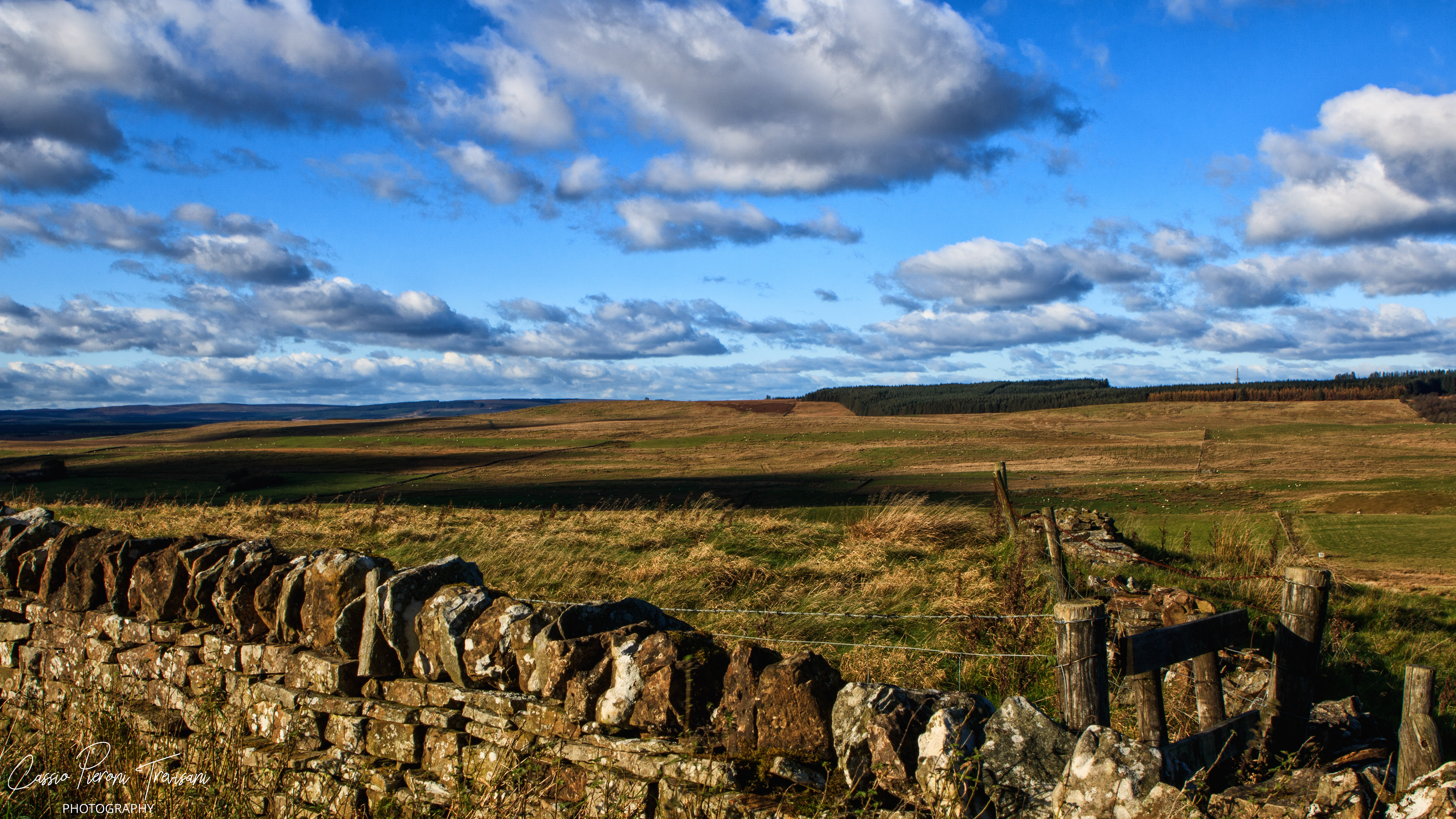Dry stone walls lead the eye across open moorland, where wind, light, and shadow shape the vast Northumbrian horizon.