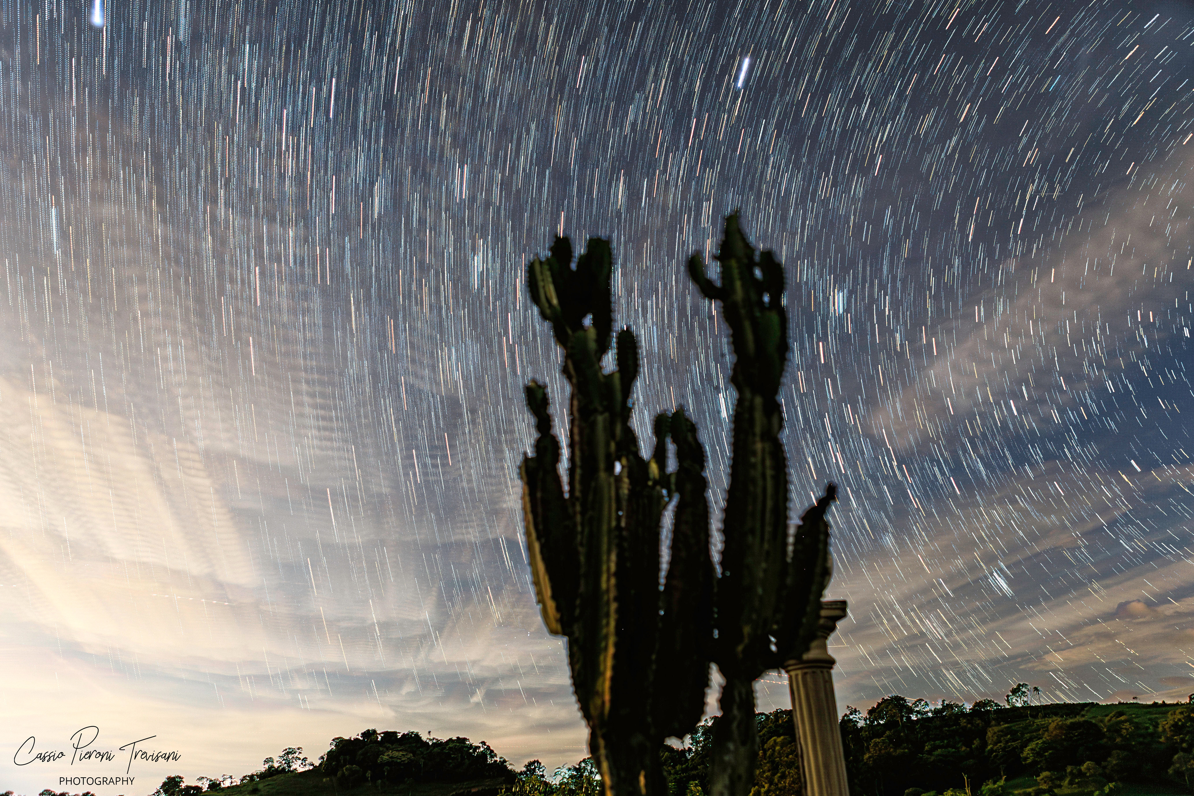 Long-exposure photograph of star trails rotating across the night sky above a silhouetted cactus in Minas Gerais, Brazil.