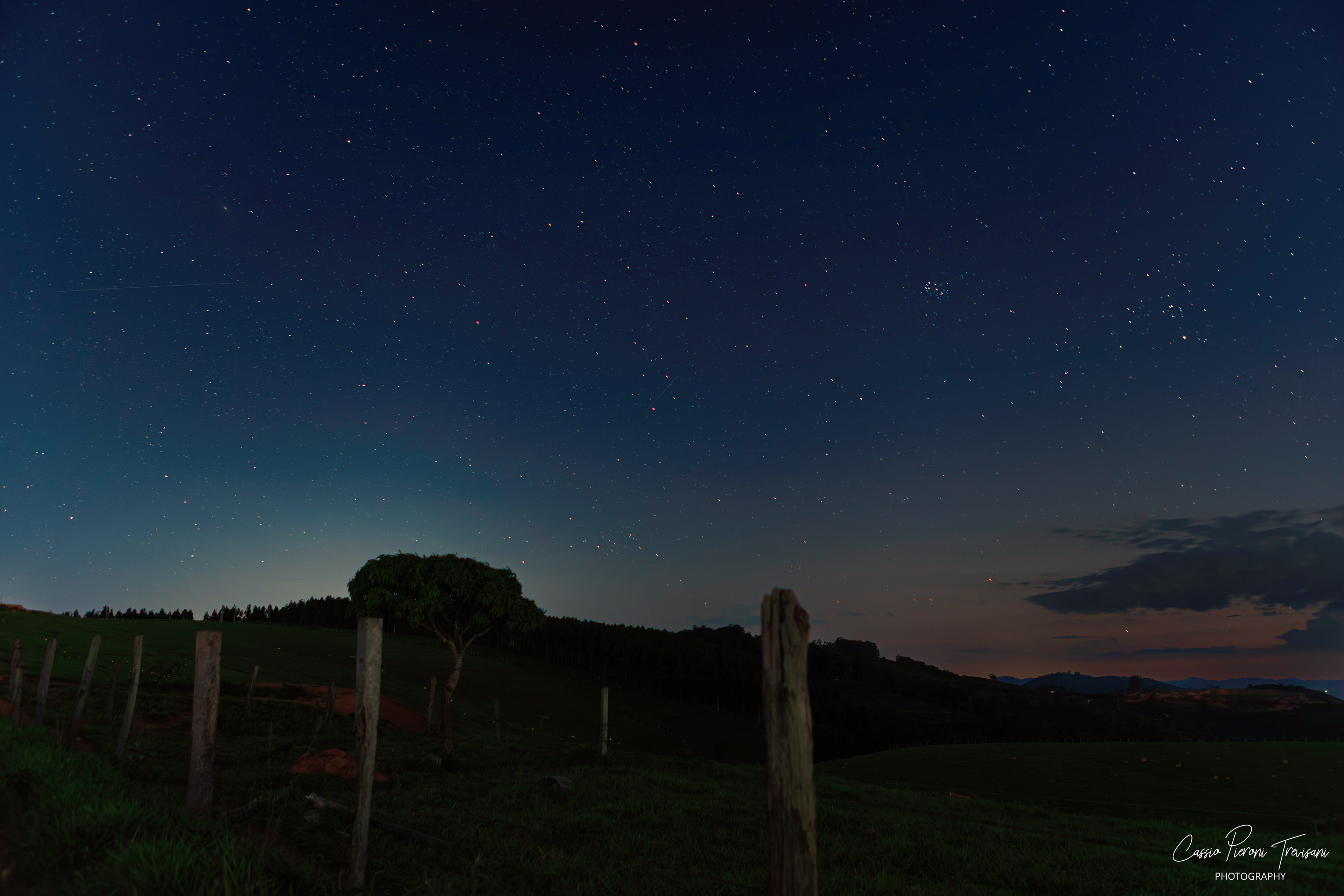 Starry night sky over a rural field in Monte Alto Alegre, Jacutinga, with a single tree and wooden fence posts.