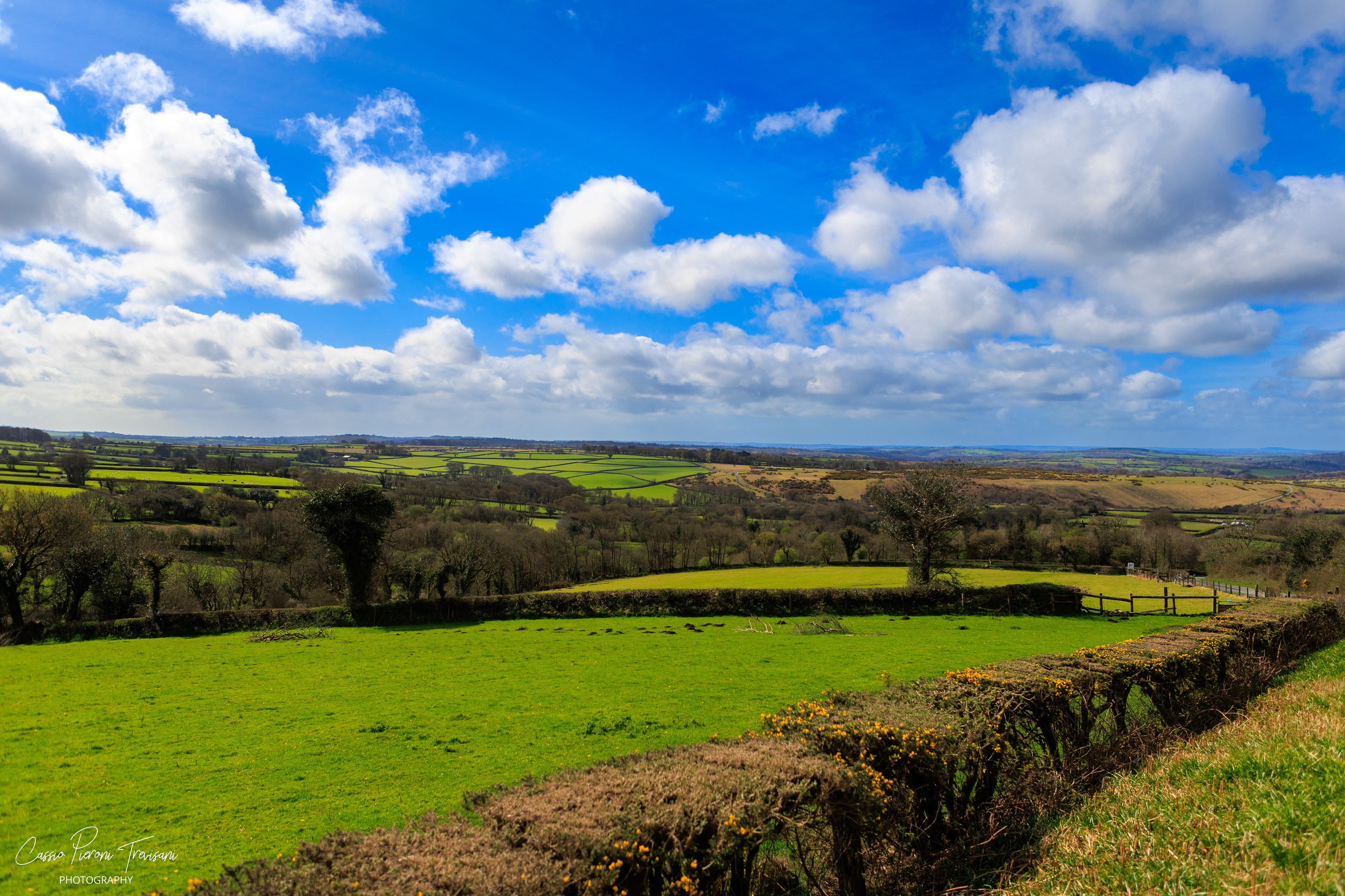 Landscape photographs of Dartmoor National Park featuring rolling moorland, patchwork fields, dry stone walls, wild ponies, rocky outcrops, and historic ruins under dramatic skies.
