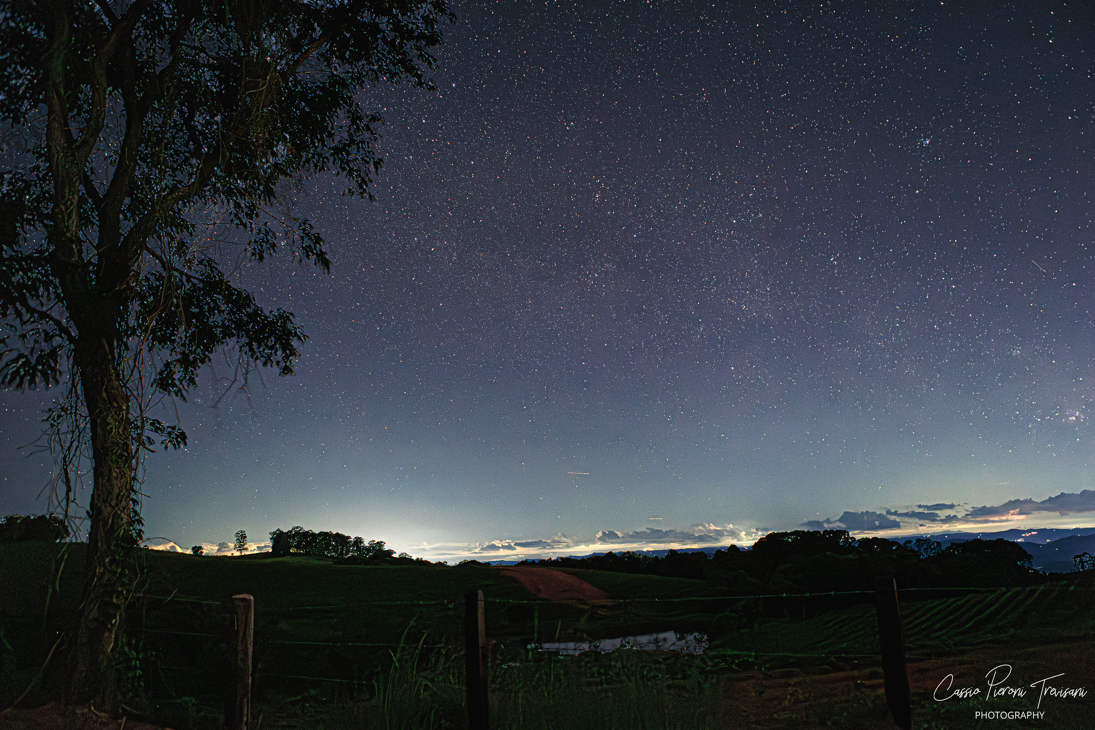 Astrophotography at Mirante de Albertina featuring trees, rocks, and star-filled night sky.