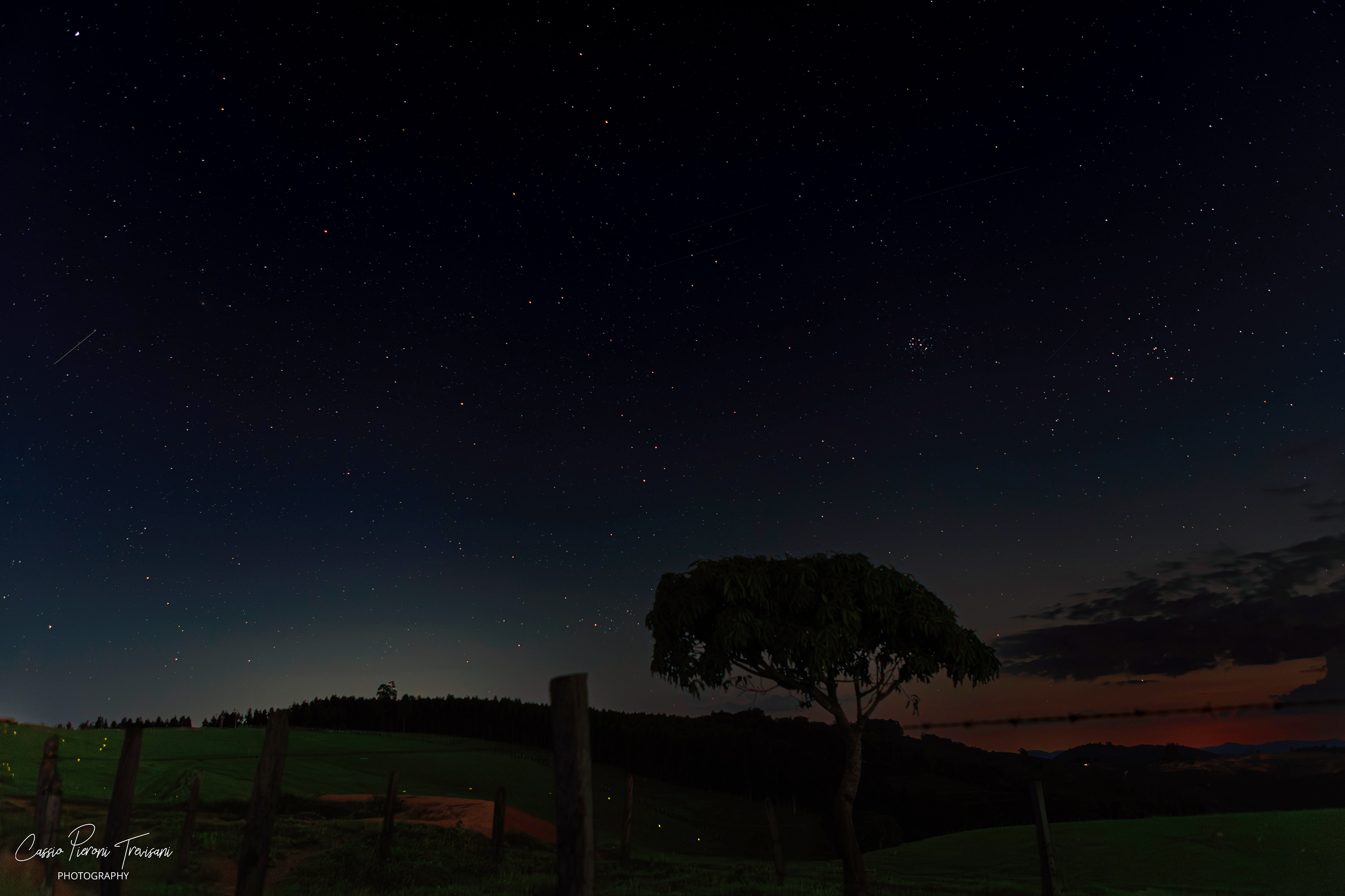 Wide night landscape of Monte Alto Alegre with silhouetted tree and sky full of stars.