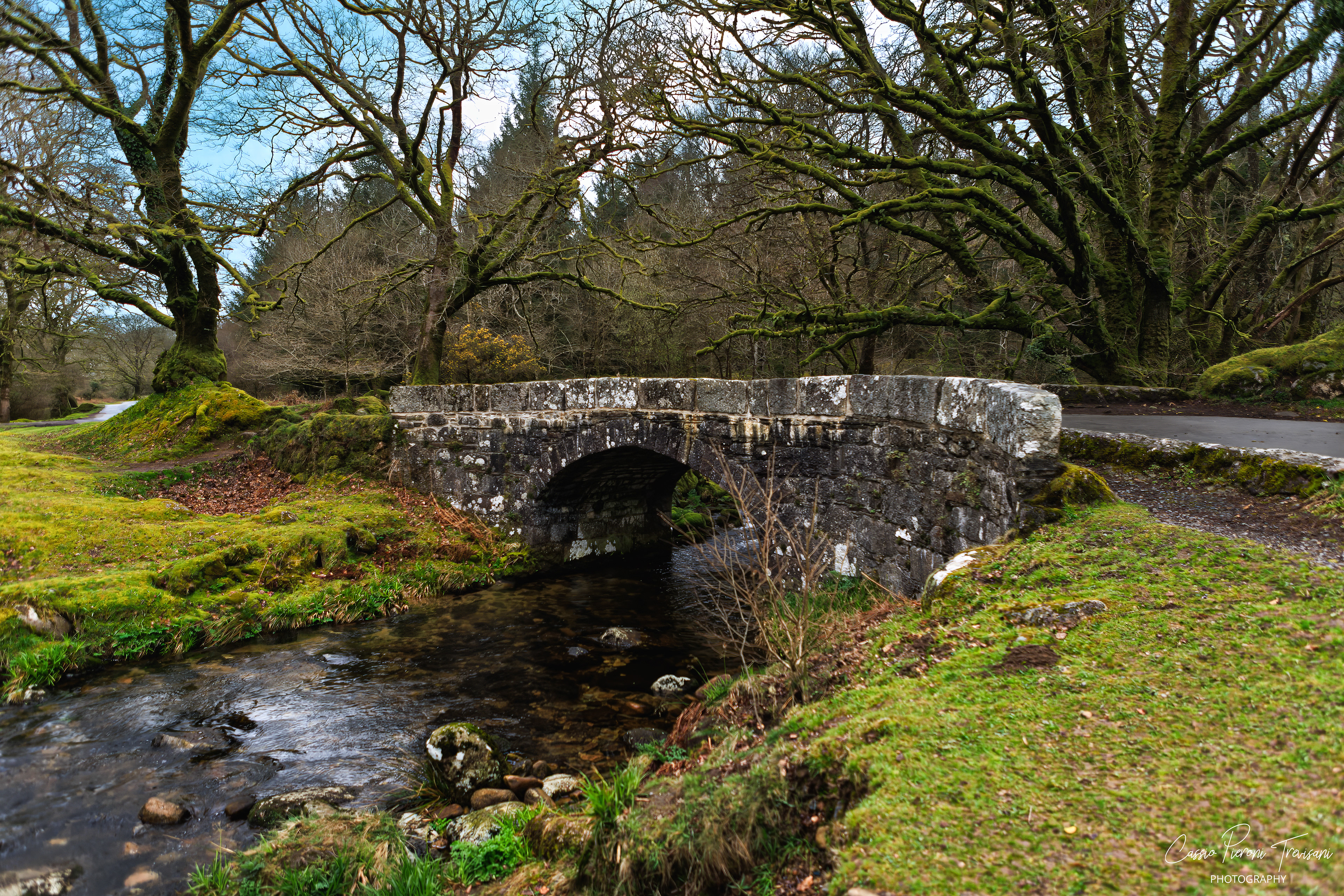 Landscape photographs from Dartmoor National Park near Burrator Reservoir showing moss-covered trees, flowing streams, a historic stone bridge, wild ponies, and the reservoir dam.