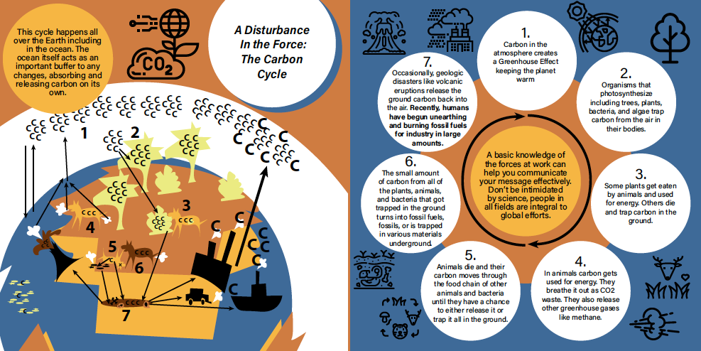 Carbon Cycle Spread