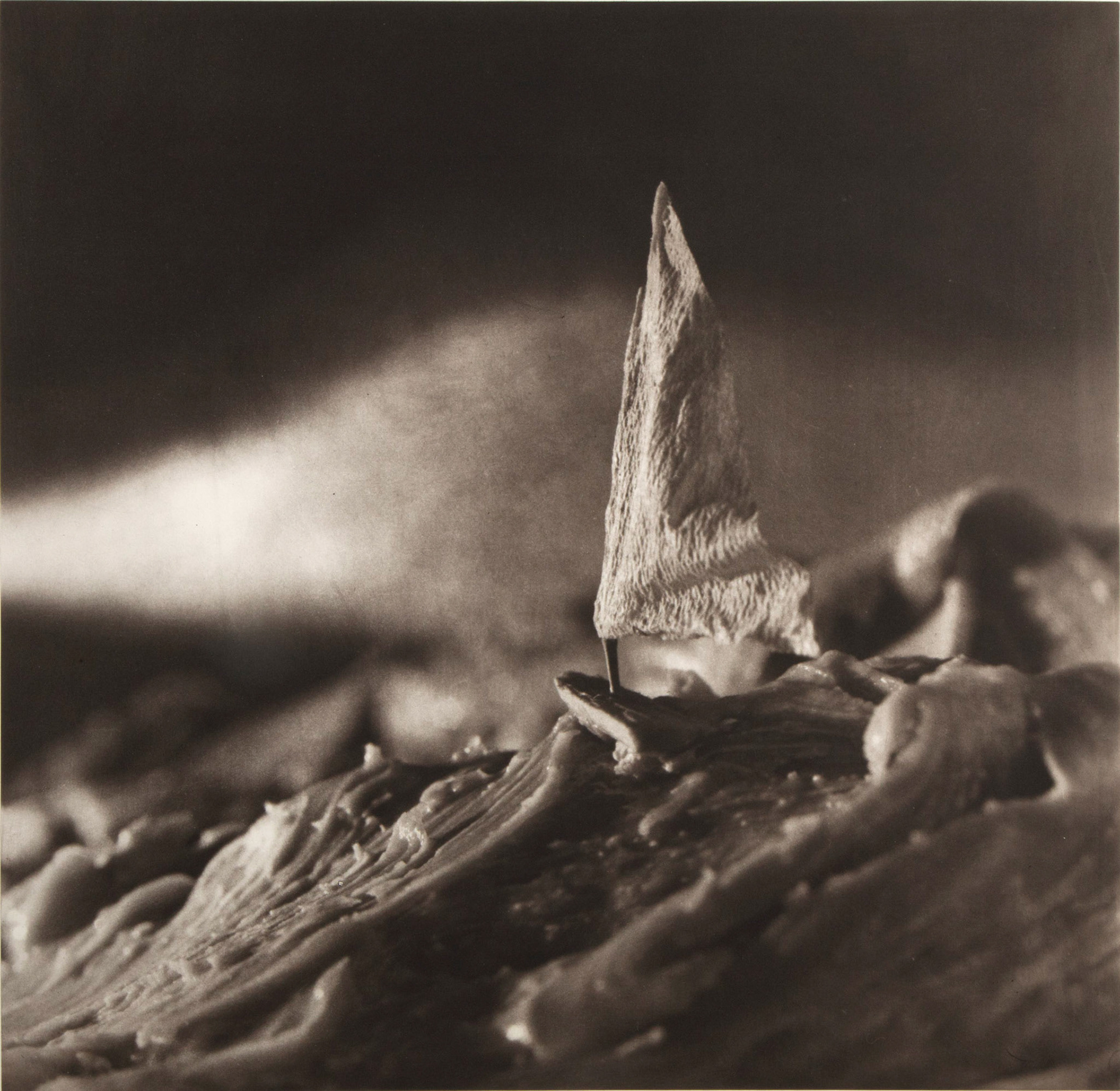 Tempest in a Teacup, 2000; Photogravure , 22 x 22.5 in.