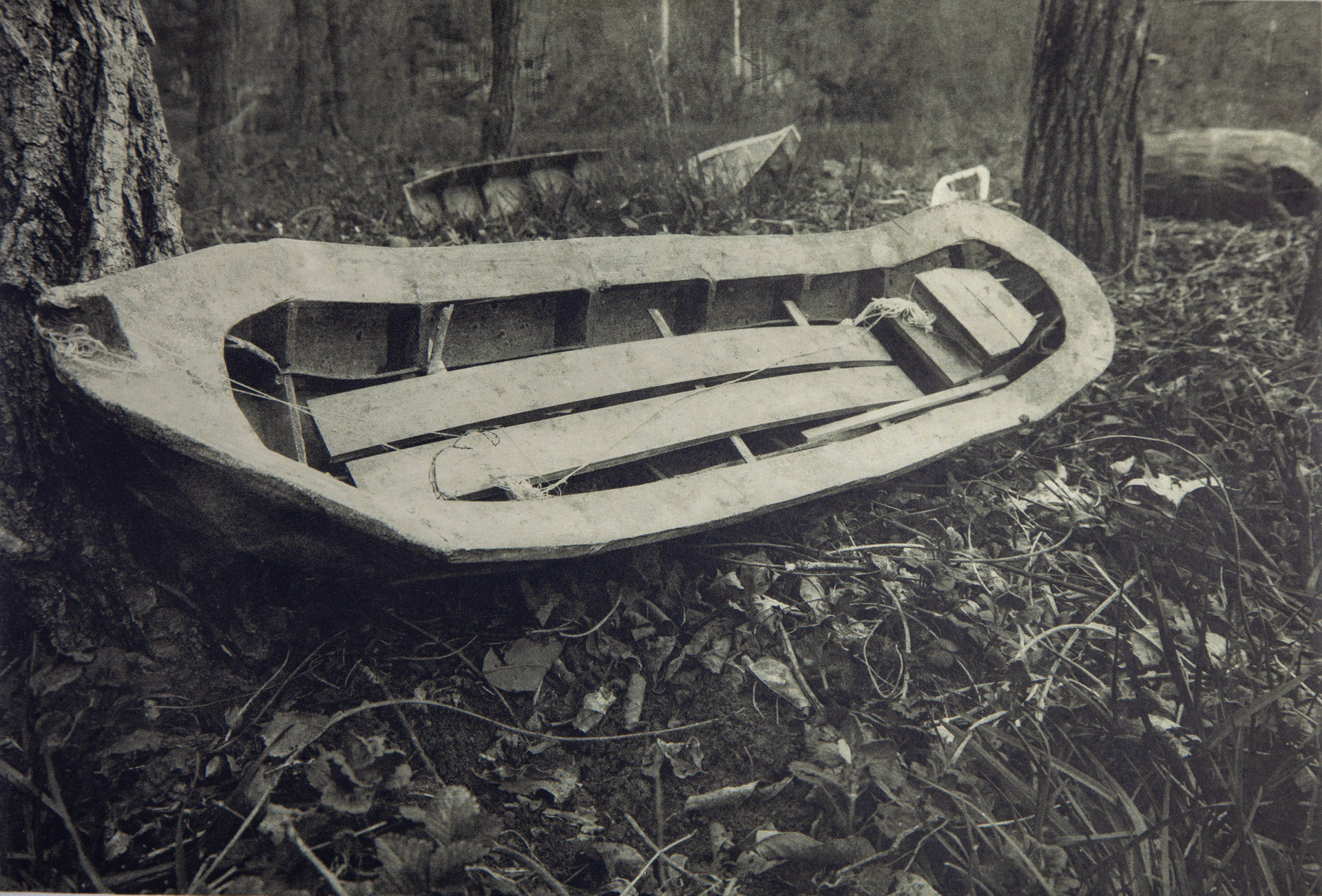 In the Woods (After the Flood), 2018; Photogravure ,  x  in.