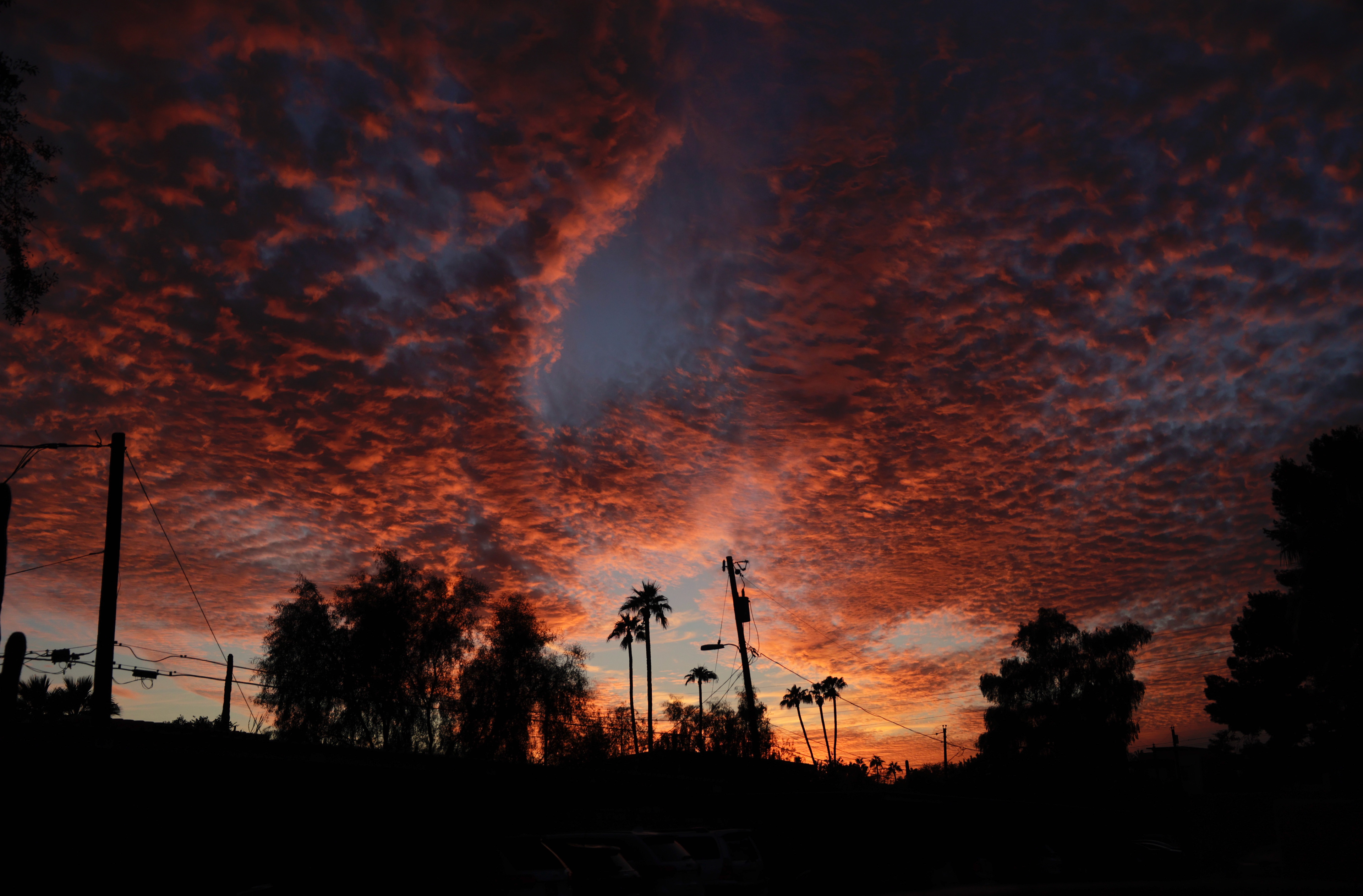 Red Dawn