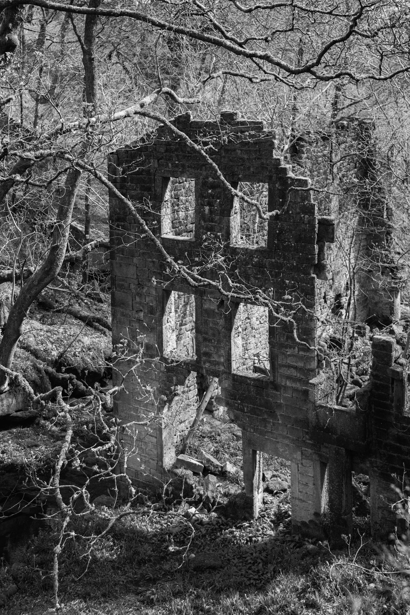 Staups Mill
