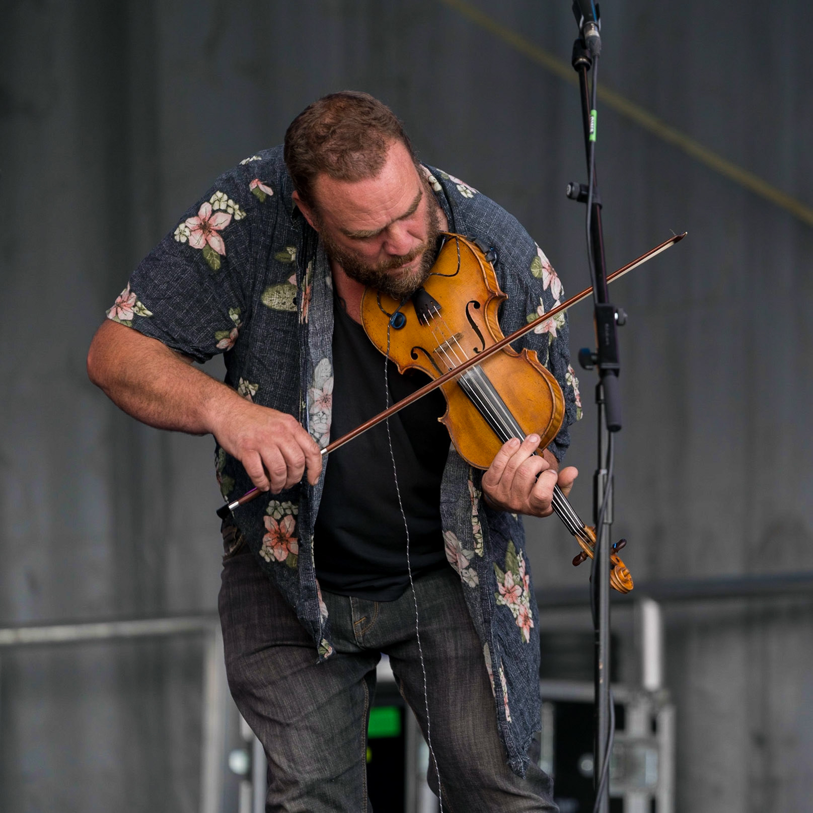 Hannah Moule & The Moulettes
