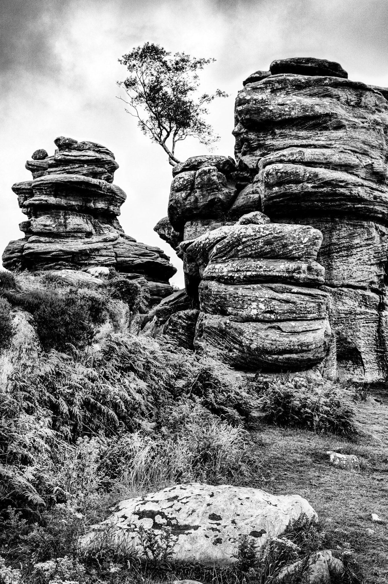 Brimham Rocks
