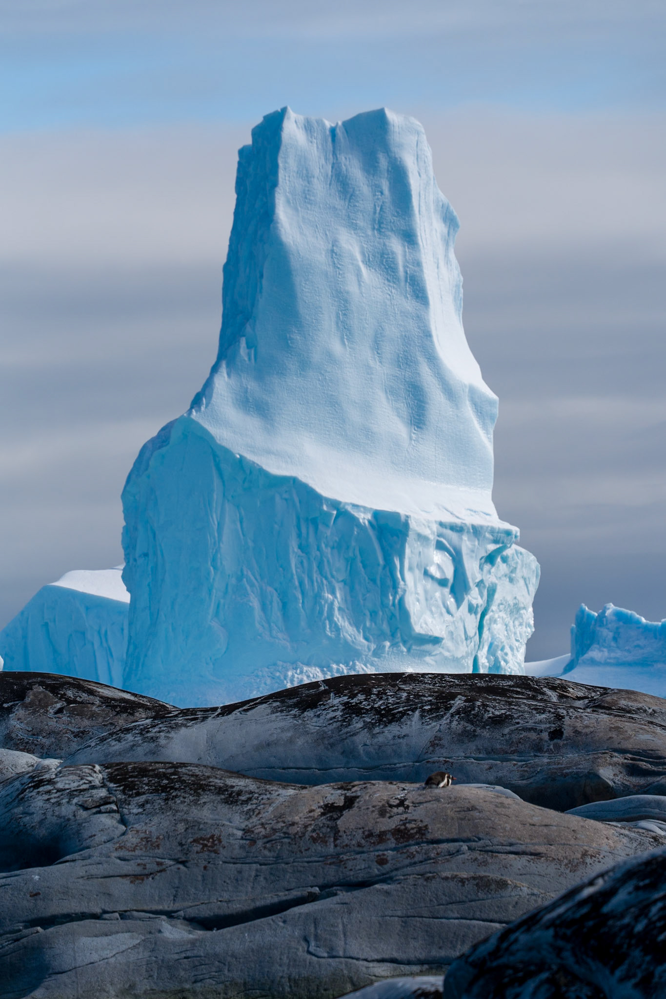Iceberg Graveyard