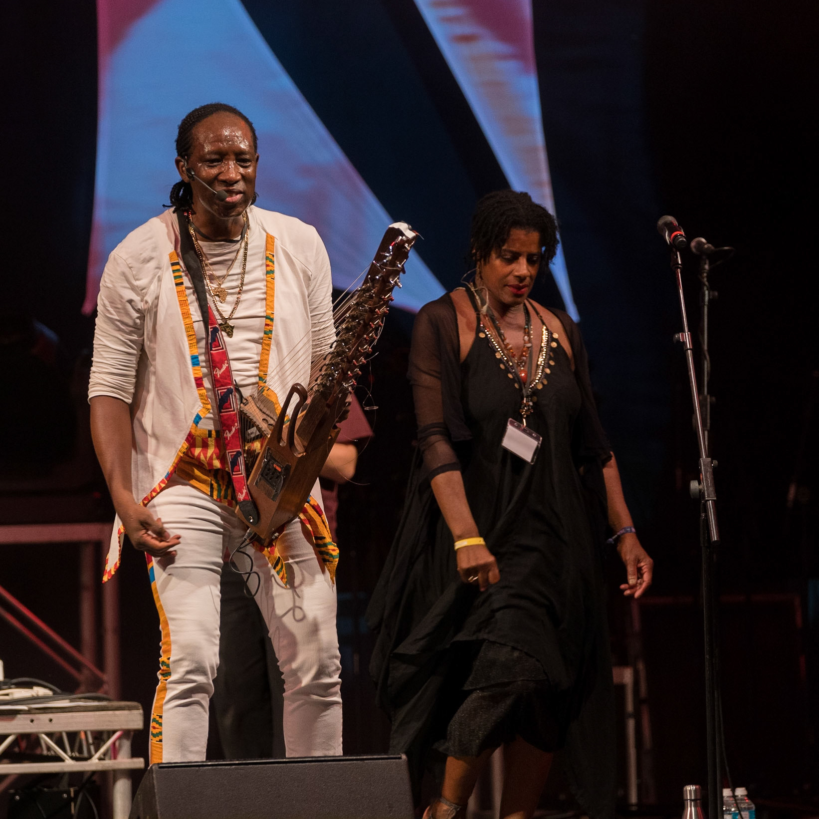 Afro Celt Sound System