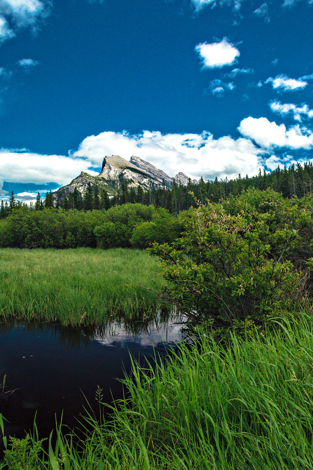 Mount Rundle.