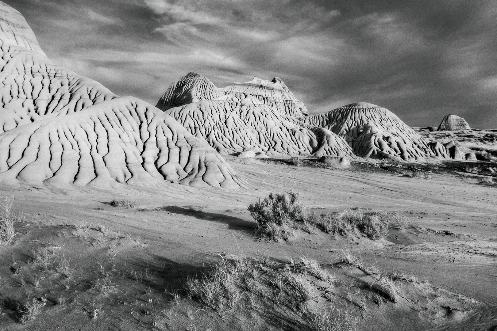 I love the textures of the landscape in Alberta's Dinosaur Provincial Park; the endless sculpting by the wind and water; I highly recommend a visit. And do book the sunset tour! Golden hour in this place is magical.