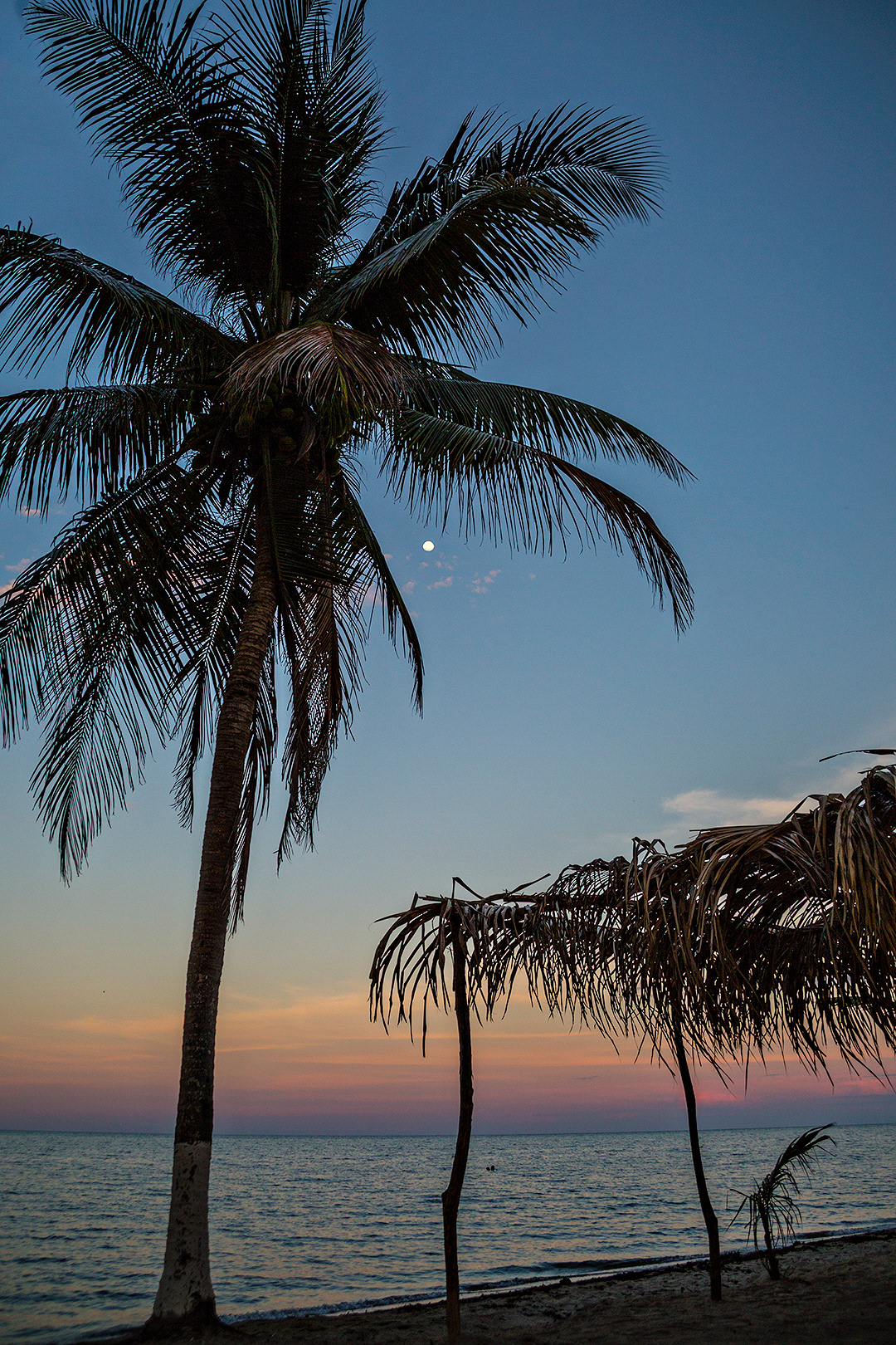 One of my favourite watering holes in Hopkins, Belize. Between the beach, the beers, and the jerk shrimp... Ella's Cool Spot really is my happy place!