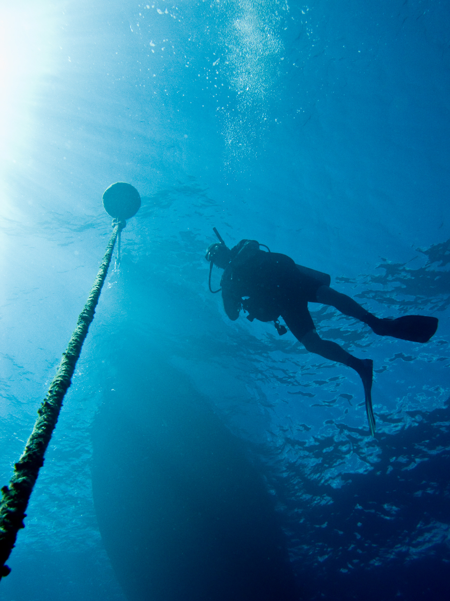 Waiting at my safety stop before heading back to the surface at Molokini Crater , I snapped this shot of one of my dive companions ascending up our anchor chain.
