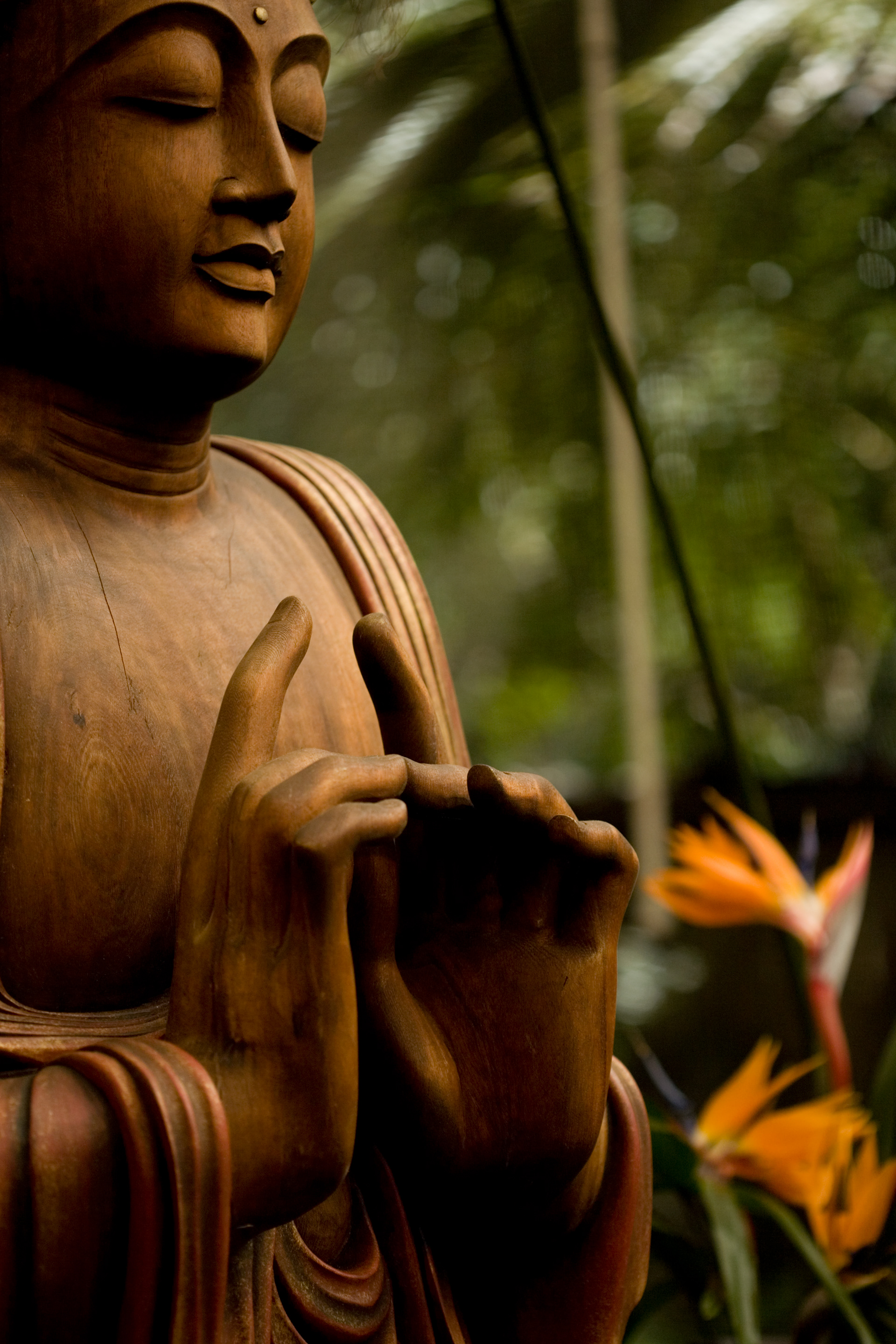 This Buddha statue is a highlight of the Sacred Garden of Maliko, on the Island of Maui.