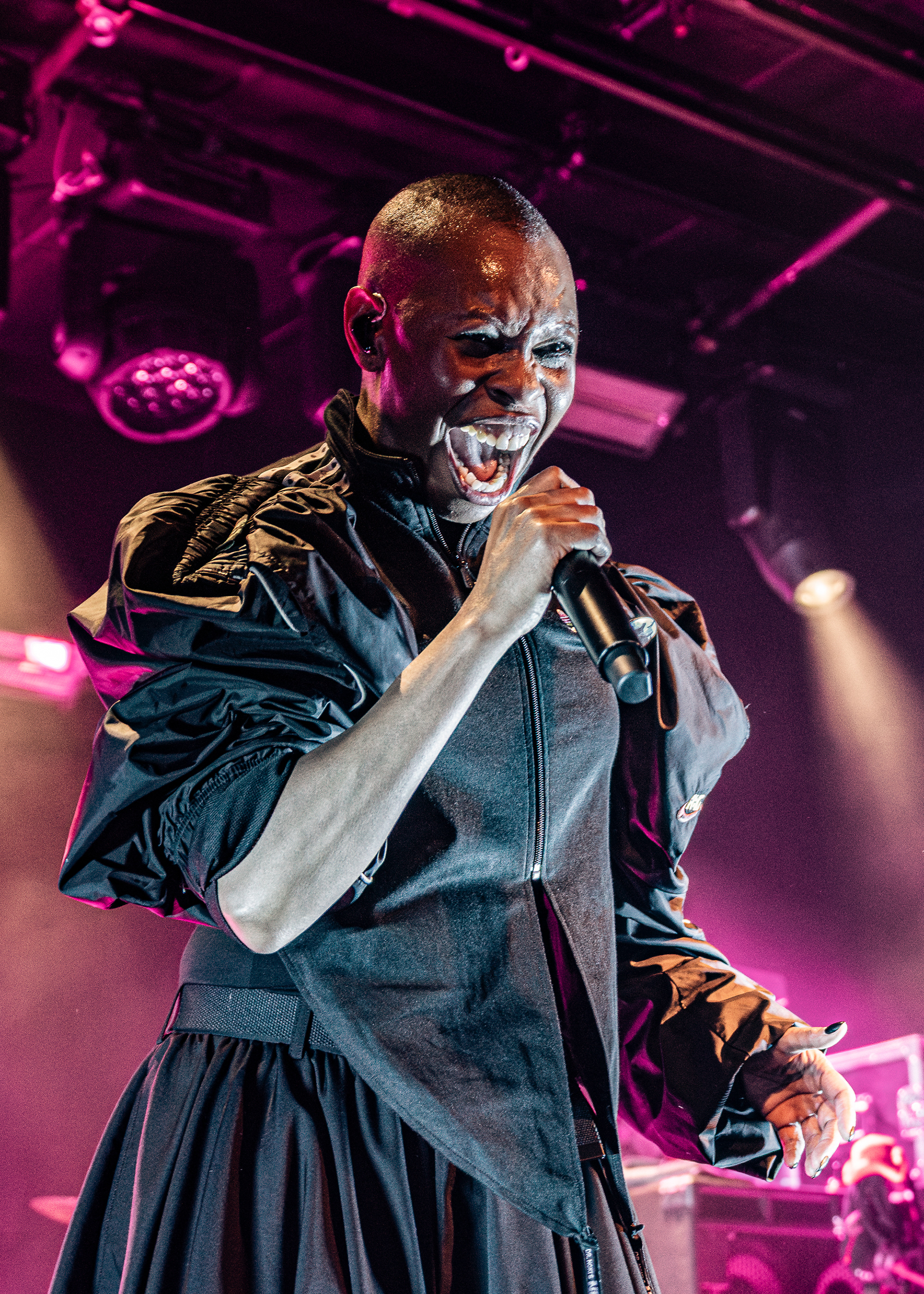 Skin (Skuns Anansie)