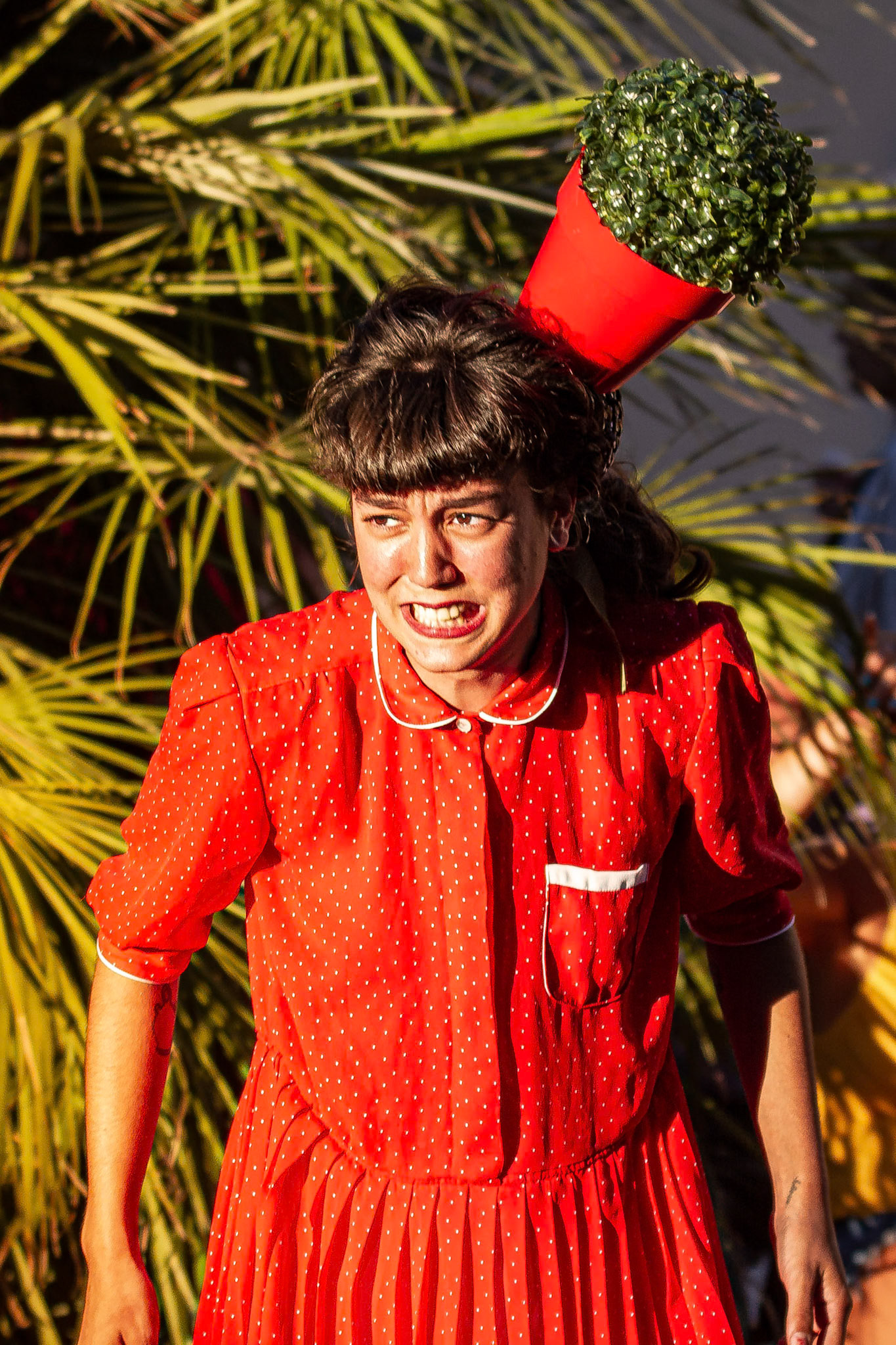 Alpiste para cabezas tristes - Cía Malditas Lagartijas - Beatriz del Monte @bewisdelarosa