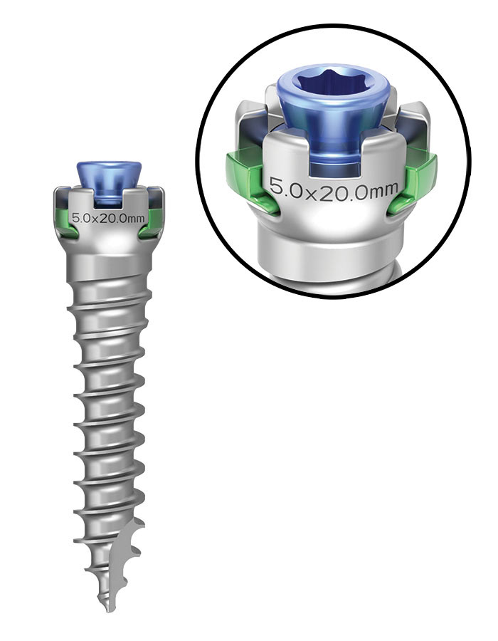 Orthopedic screw render