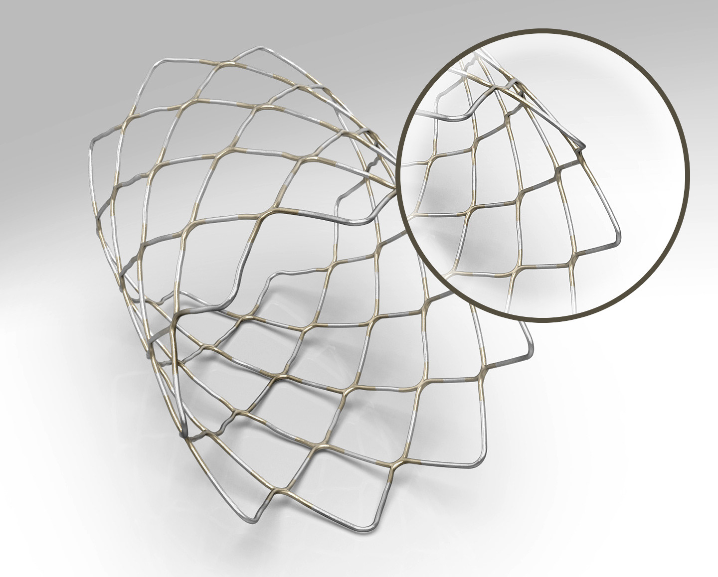 3D Medical device rendering