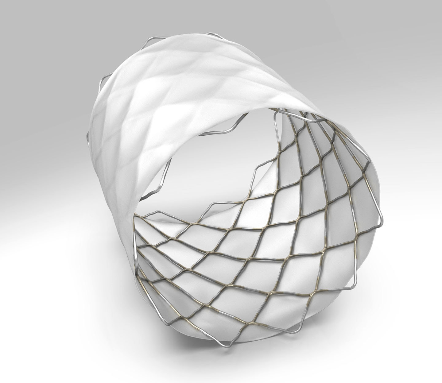 3D medical device illustration