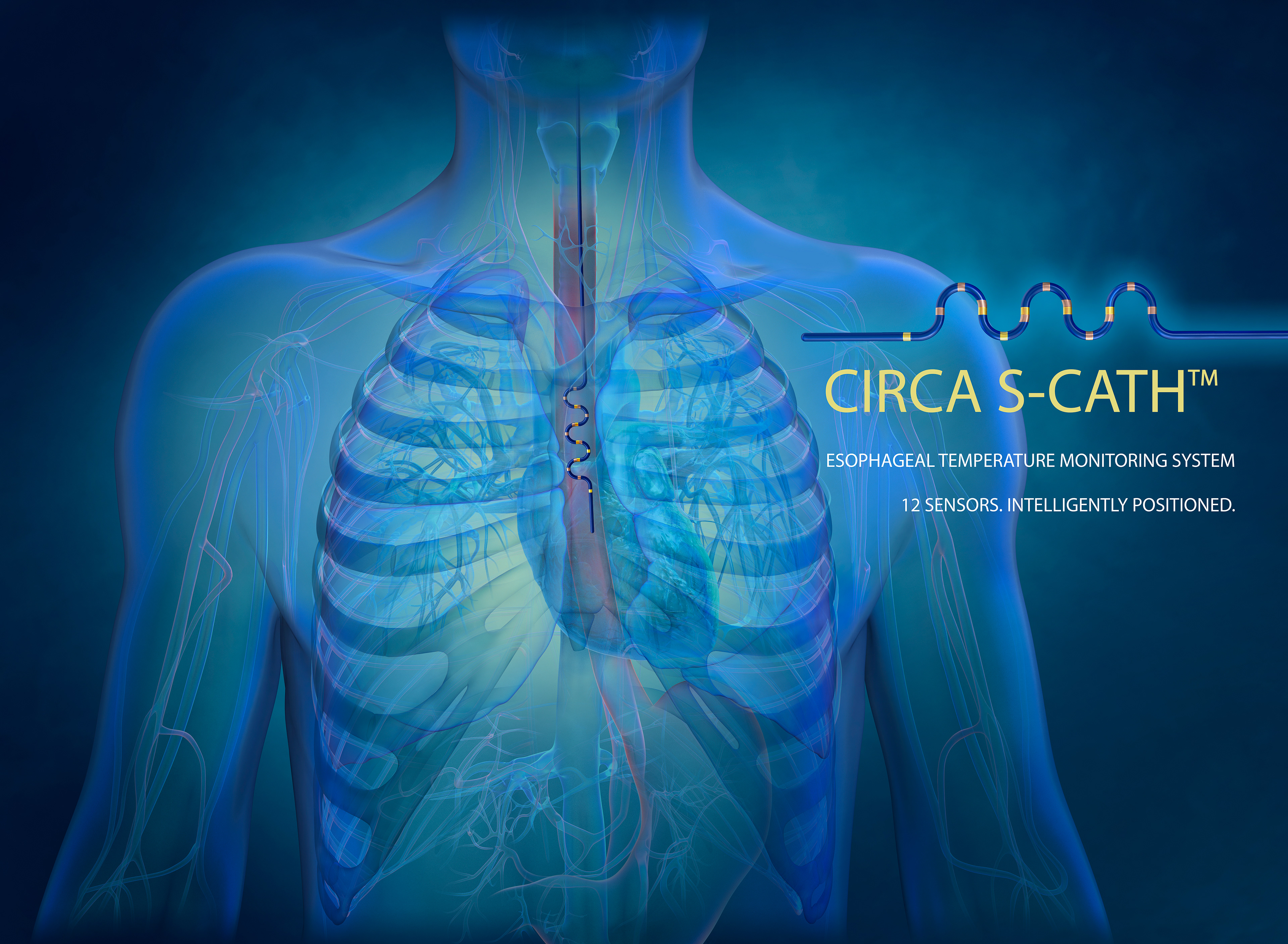 Medical illustration by Medical Illustrator Wayne Heim