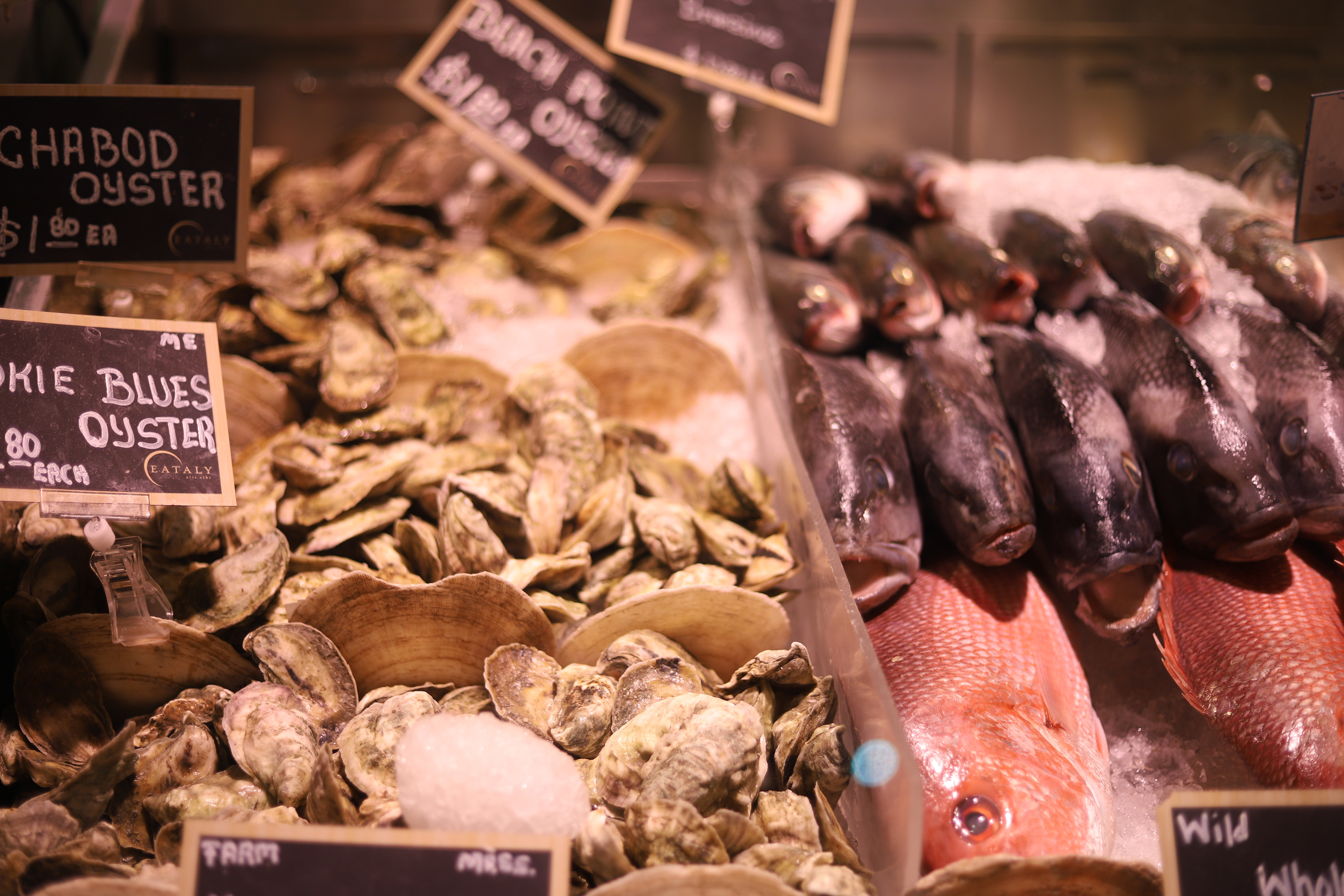 Fish Market - New York