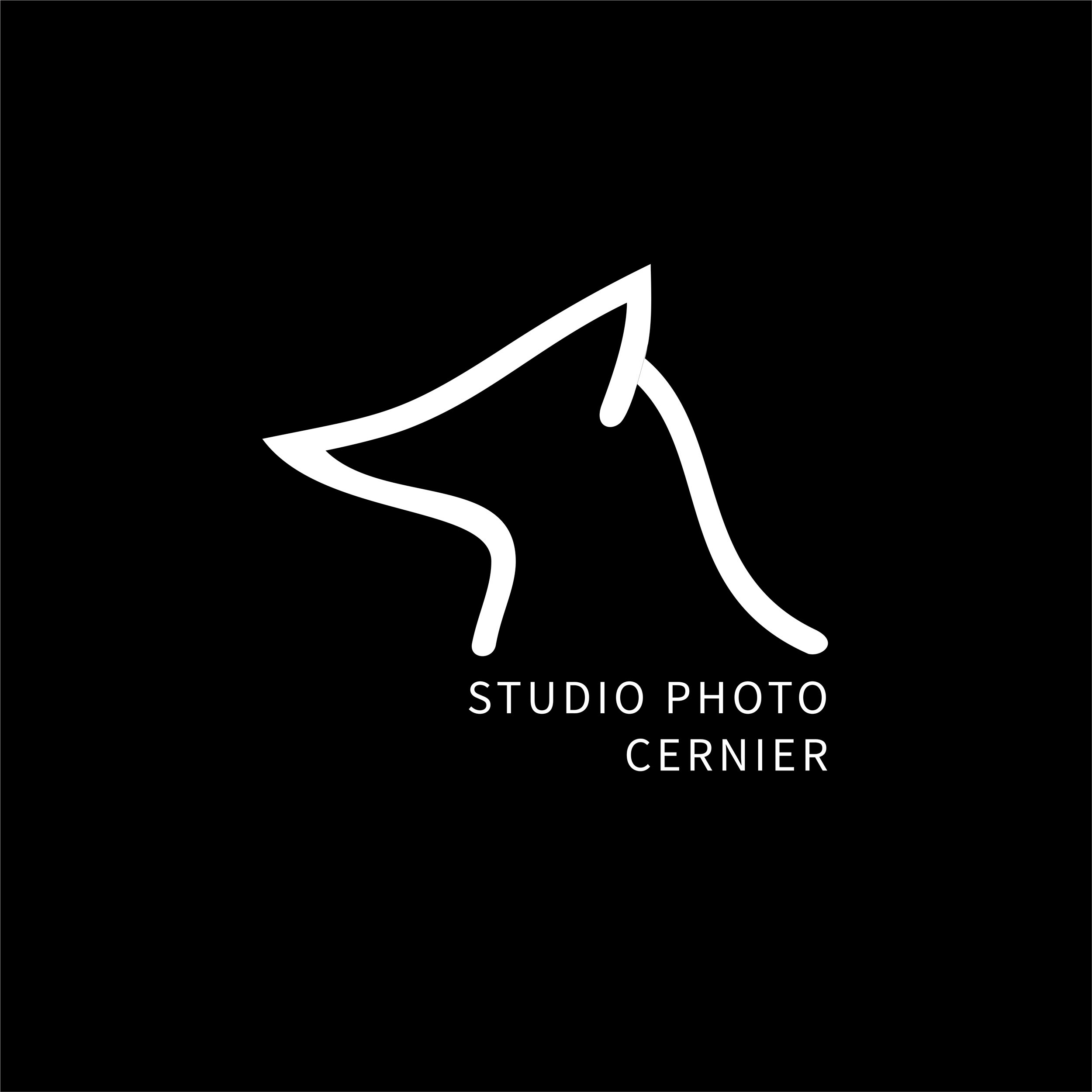 STUDIO CERNIER