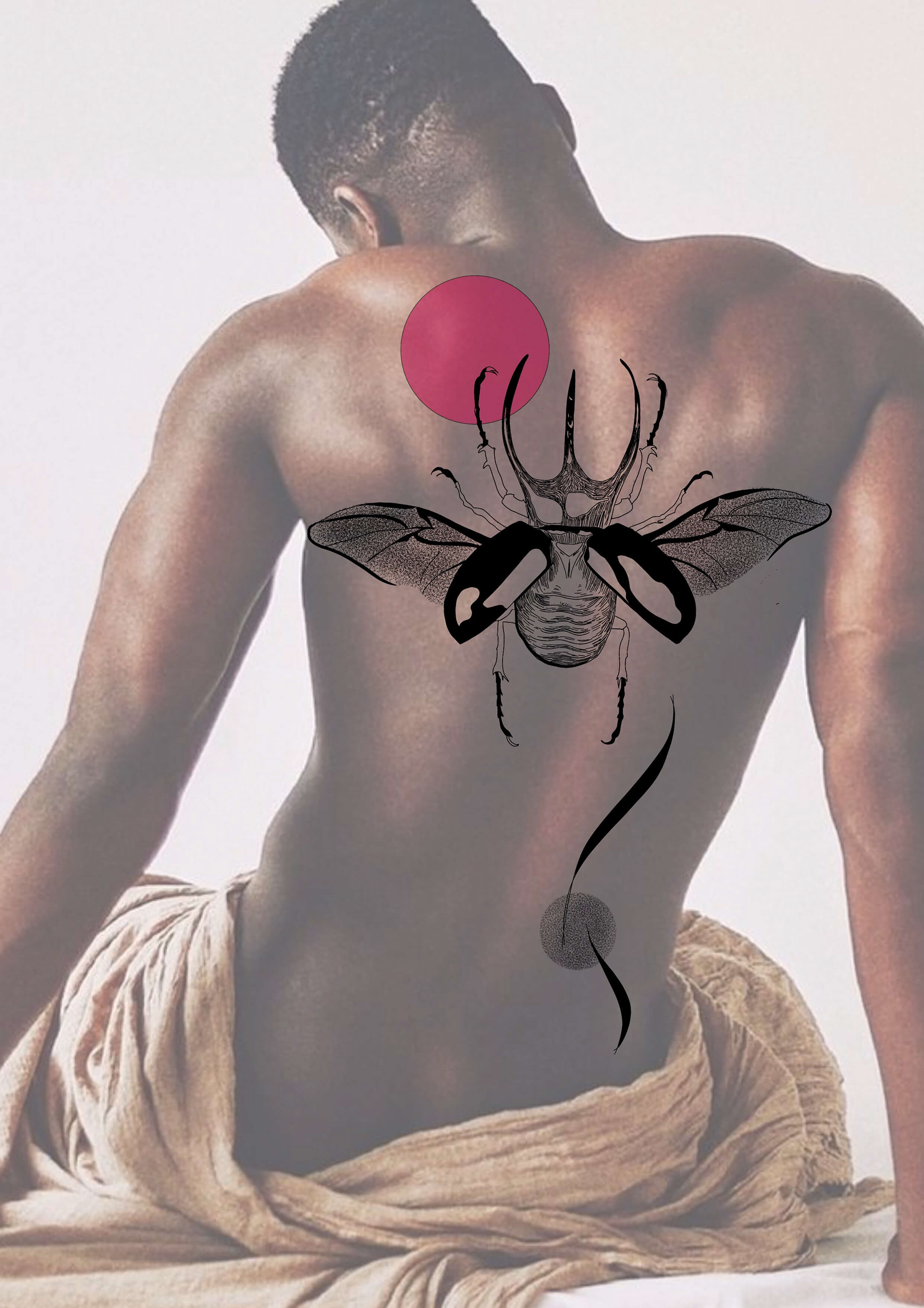 Beetle