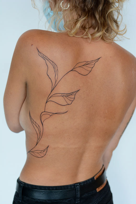 leaves