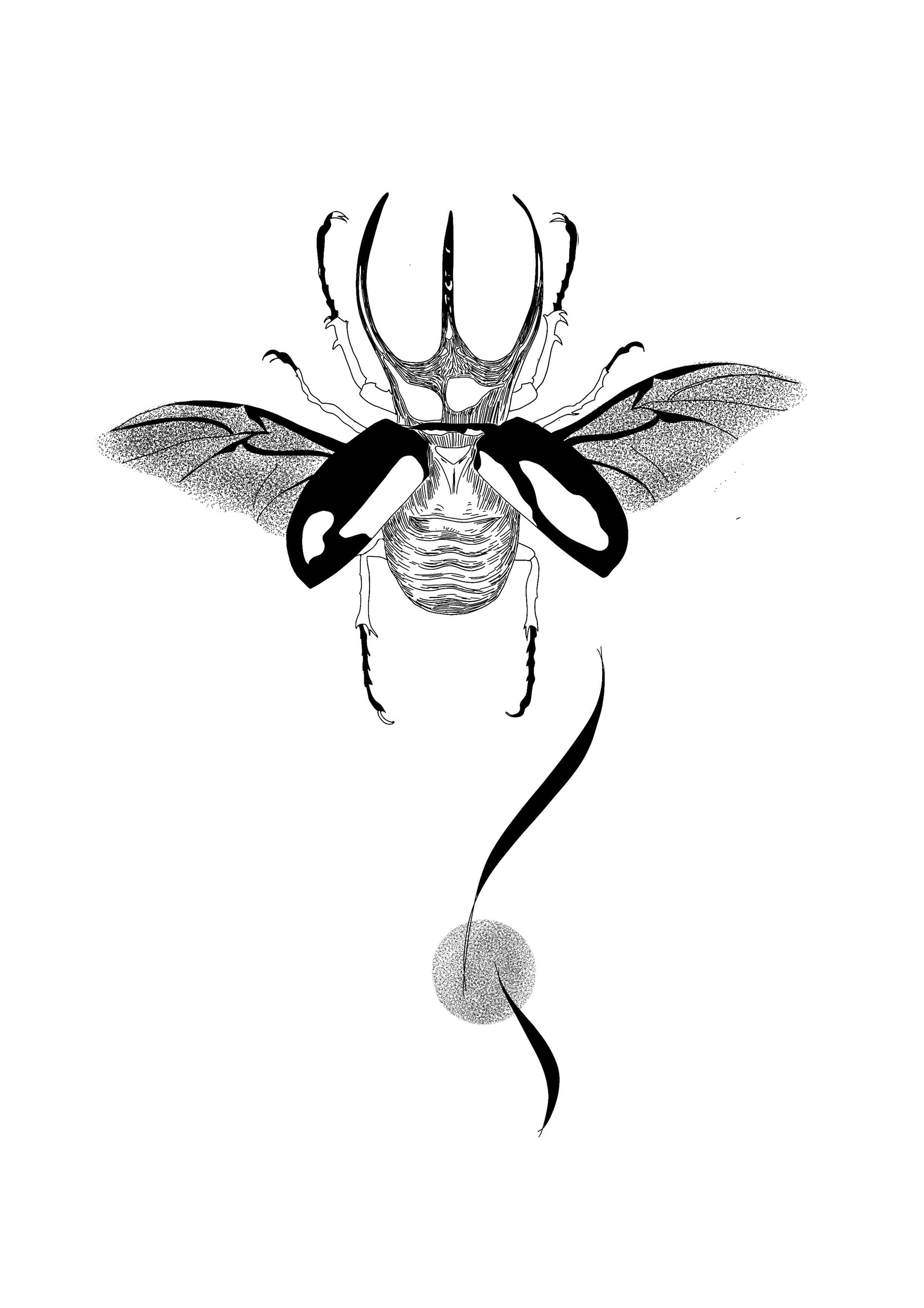 Beeile