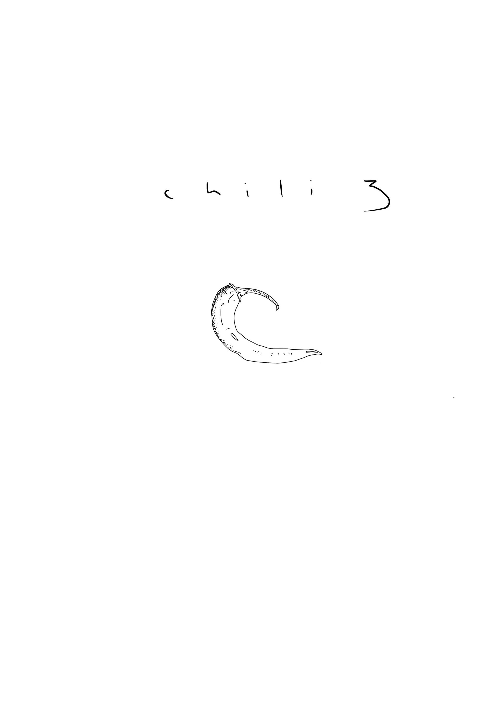 Chili 3