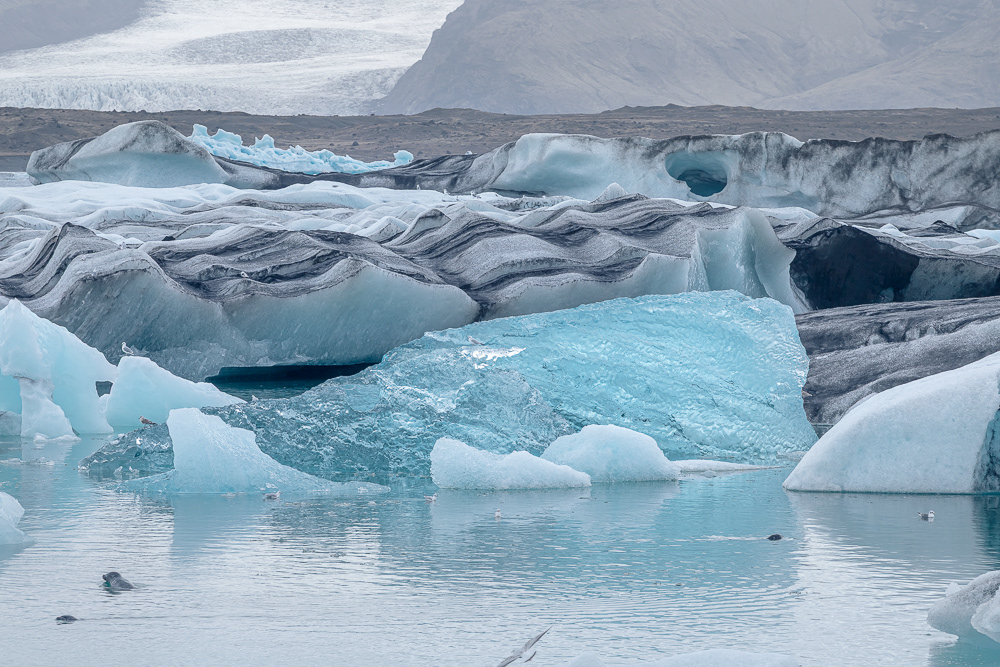  Zatoka lodowcowa Jökulsárlón