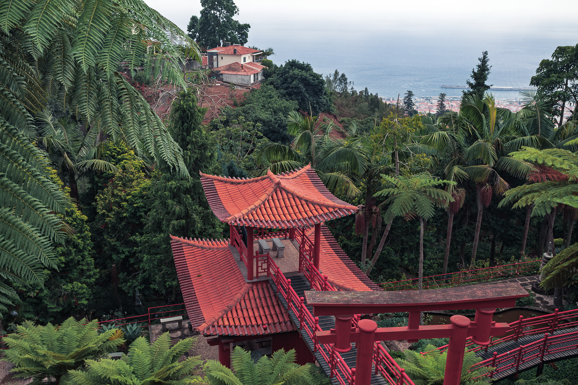 Ogród Tropikalny Monte Palace w Funchal