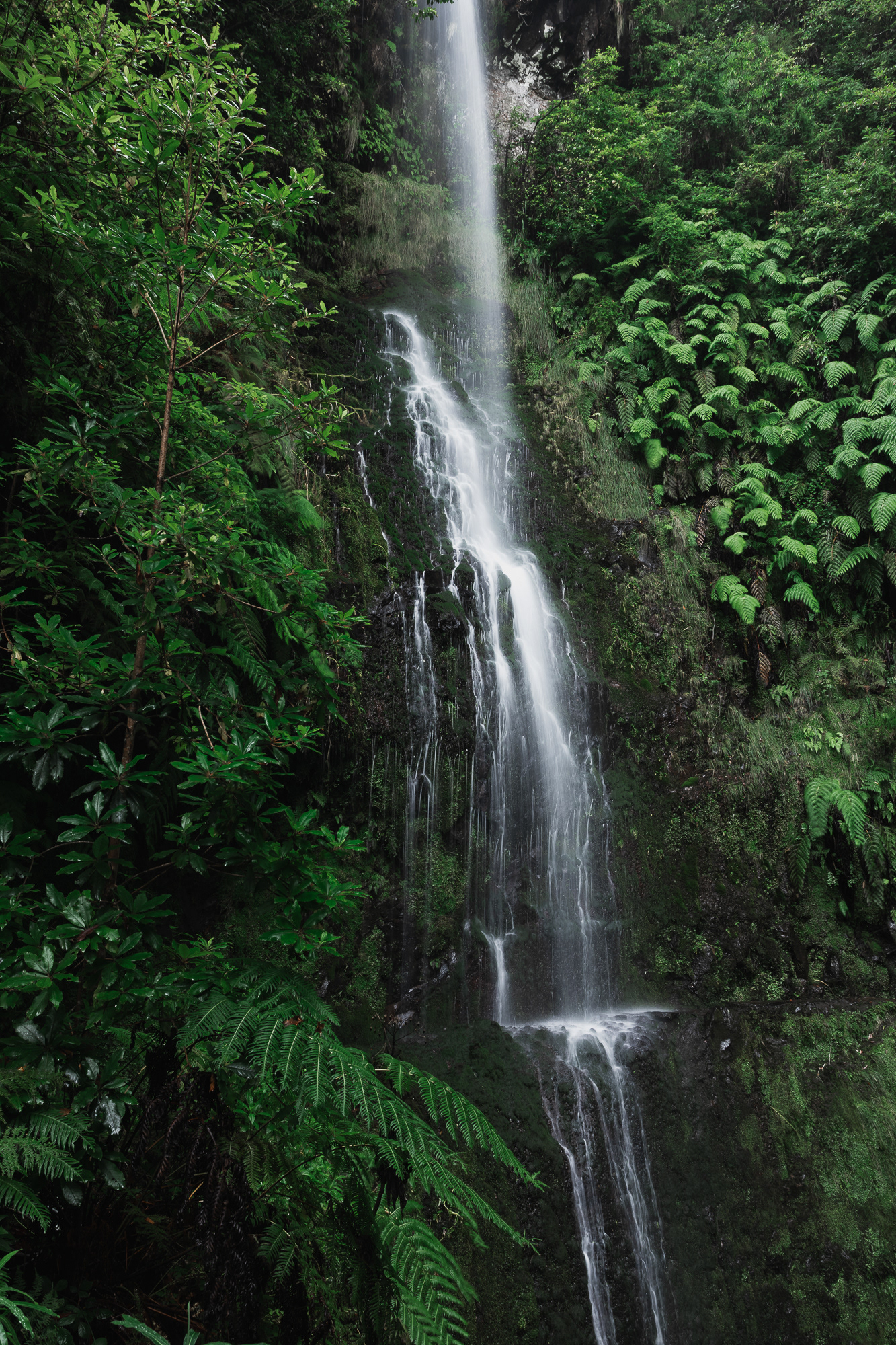 Levada do Caldeirão Verde