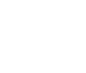 Perfection Fresh