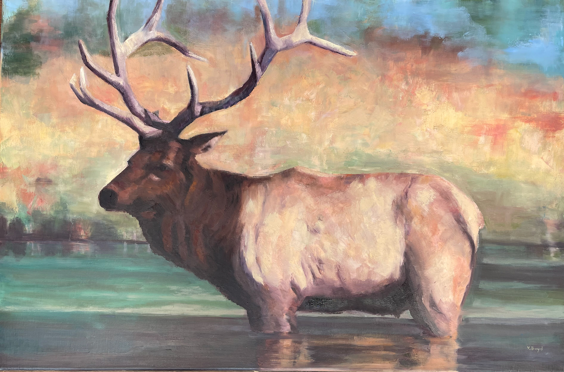 Slow Elk, Oil on Canvas, 24x18