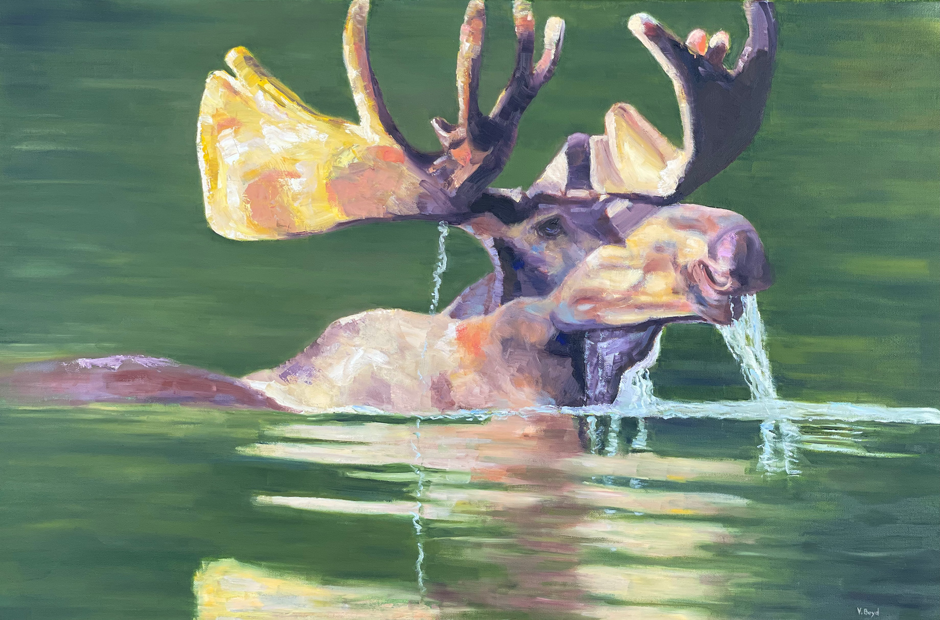Moose Drool