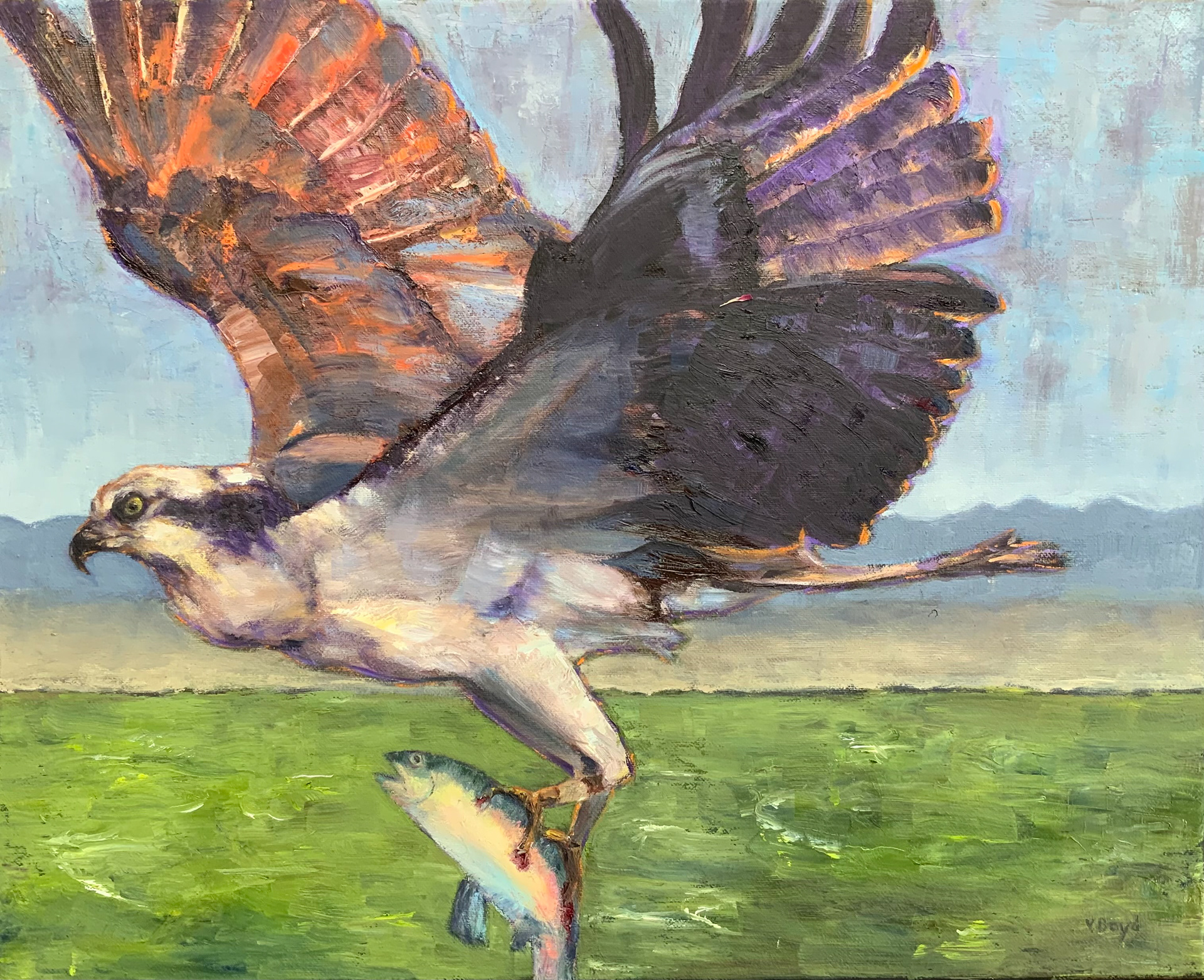 Osprey Success, Oil on Canvas, 24x18