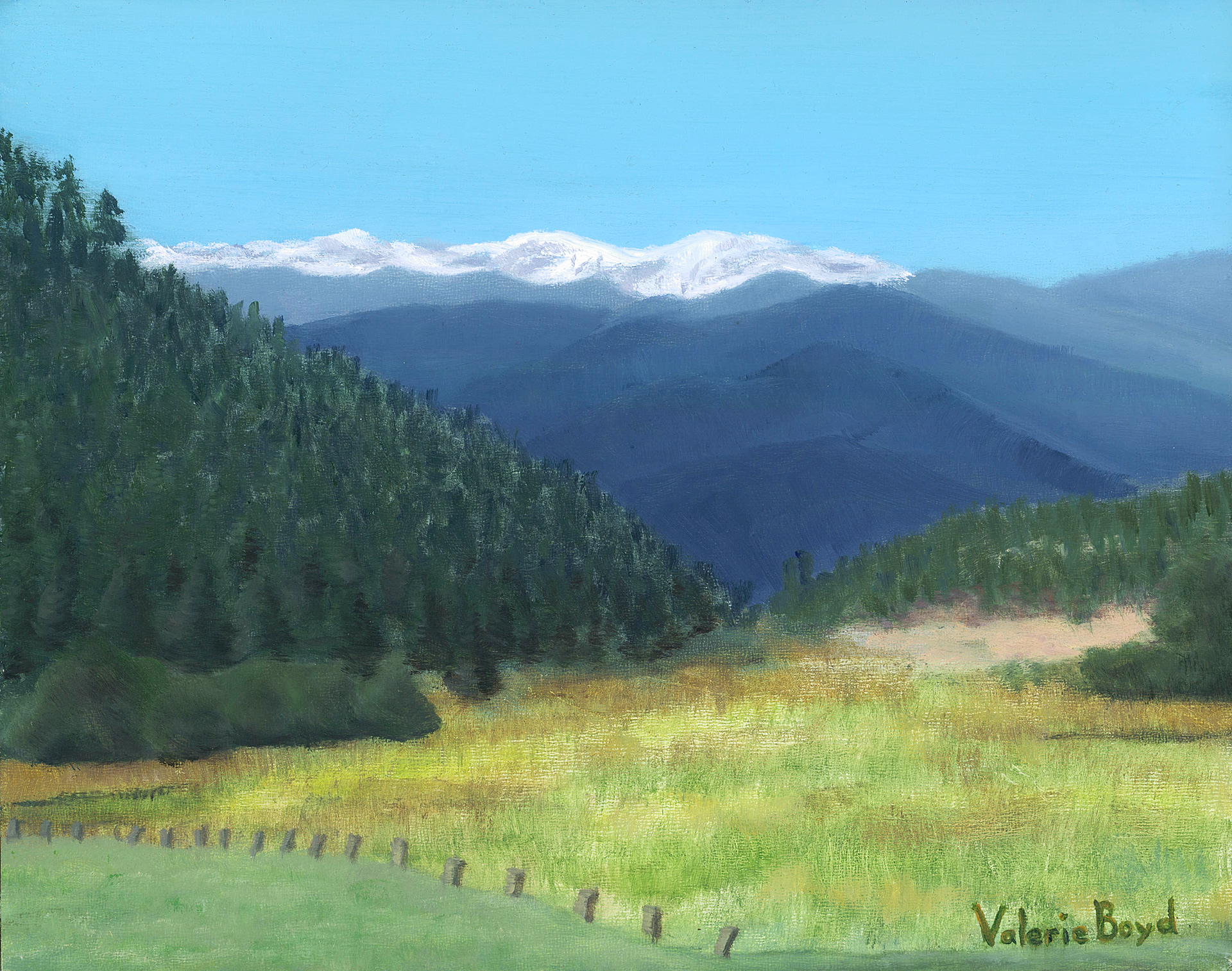 Tarkio Flats and Round Mountain