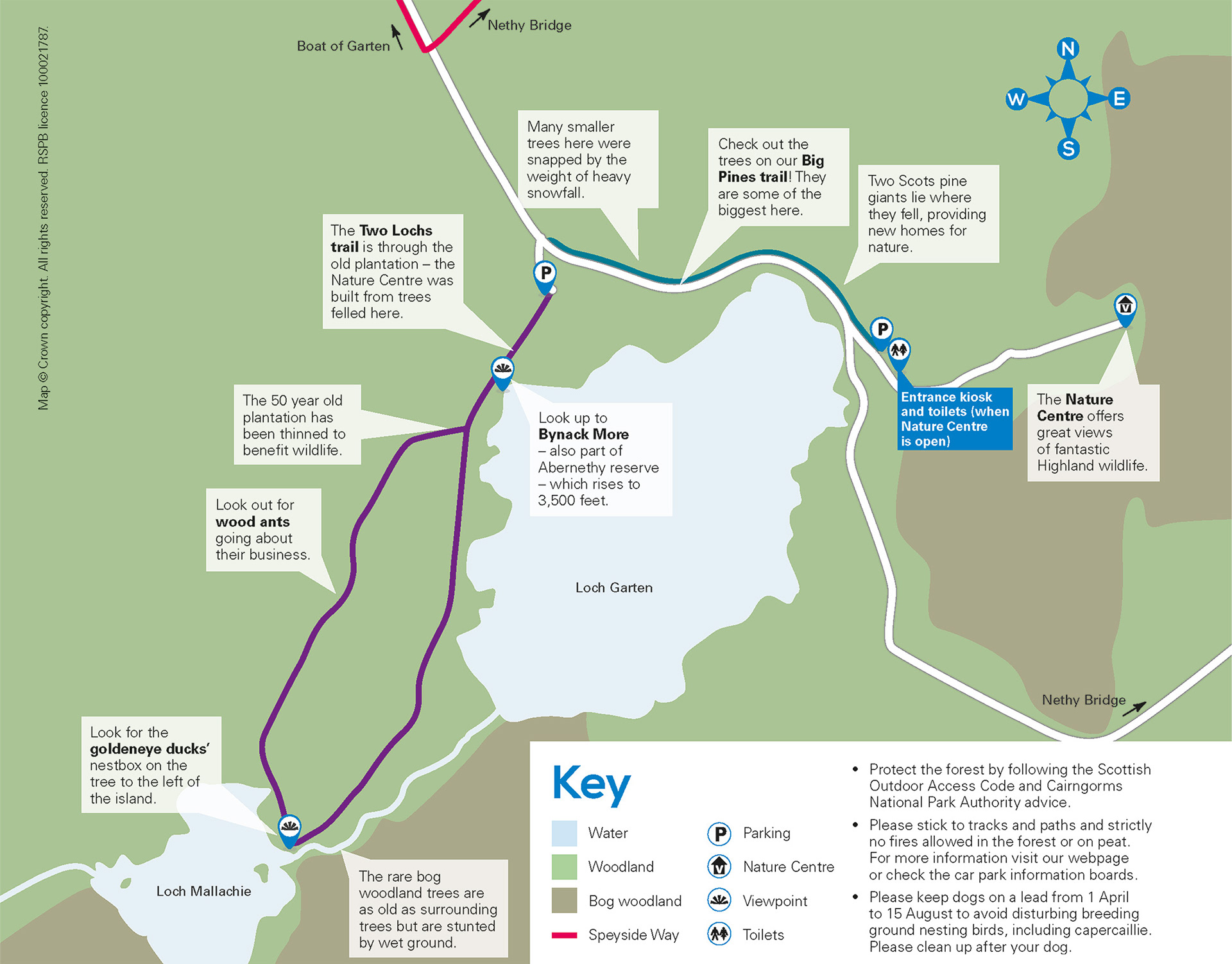 RSPB Loch Garten BEFORE