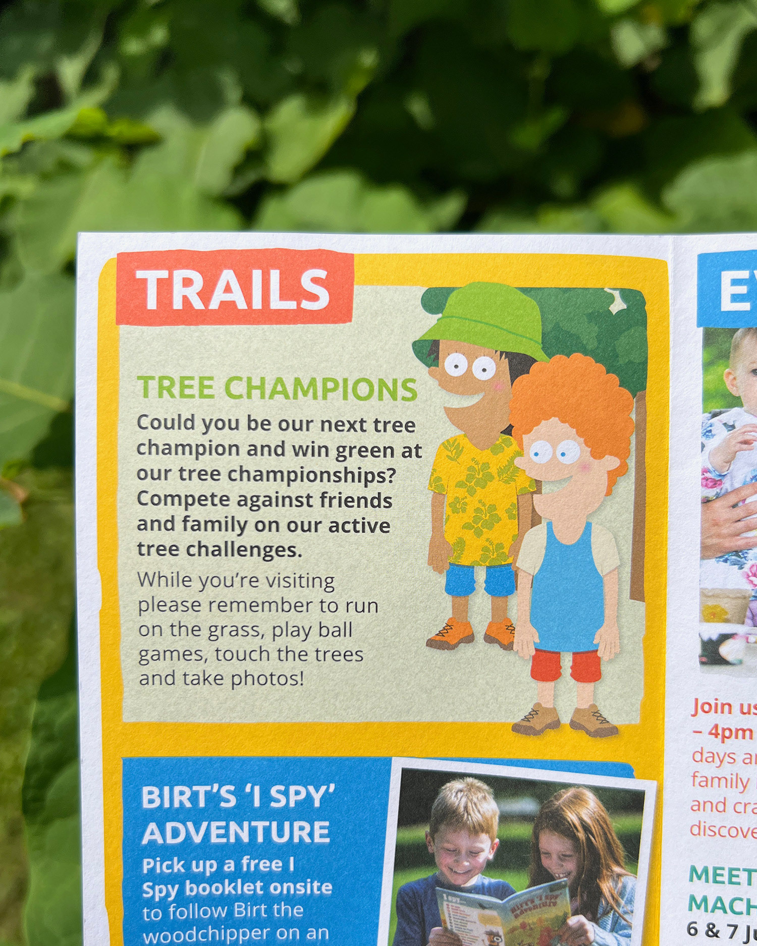 Westonbirt Arboretum Characters on leaflet